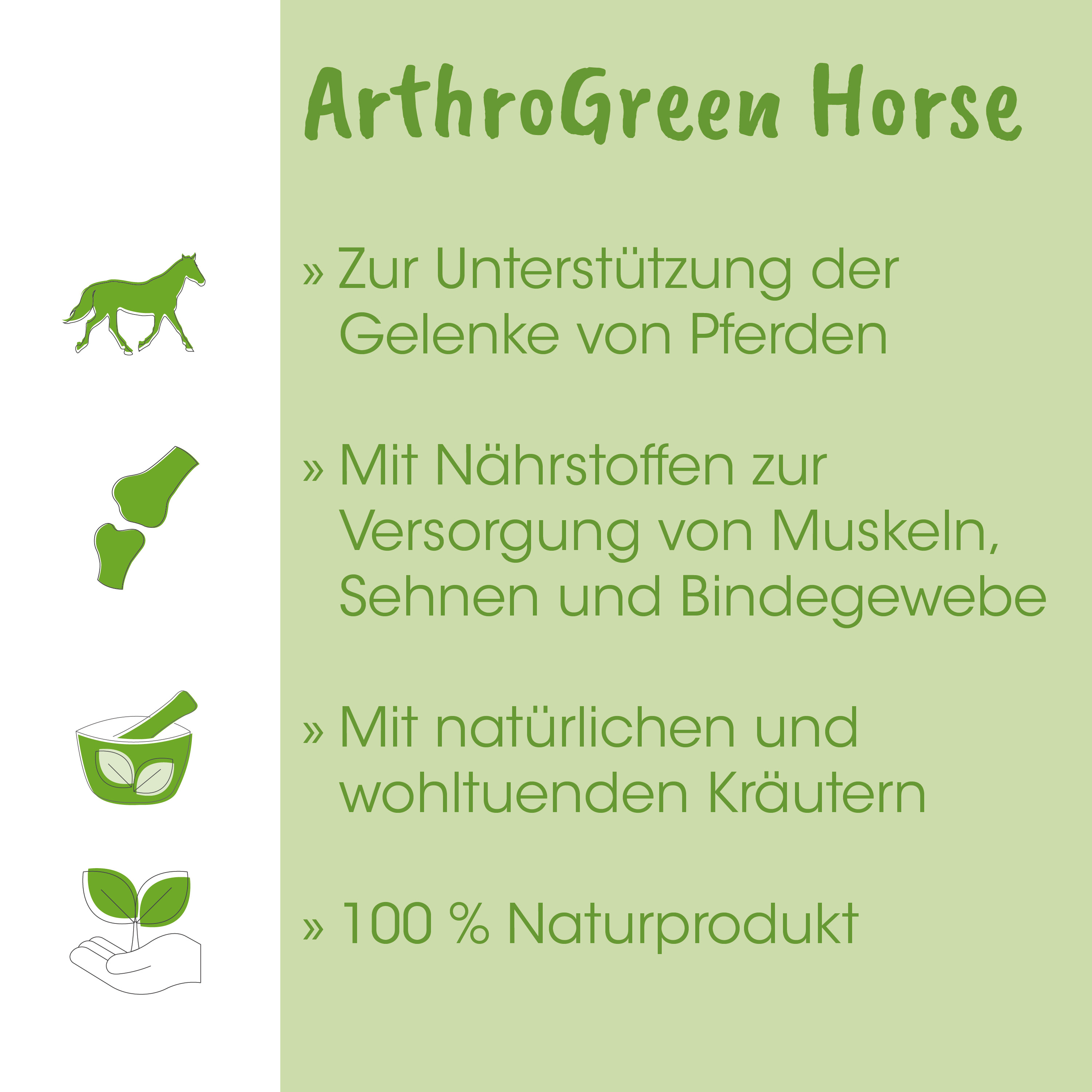 Pferd, Huf, Naturprodukt, Kräuter, Pflanze