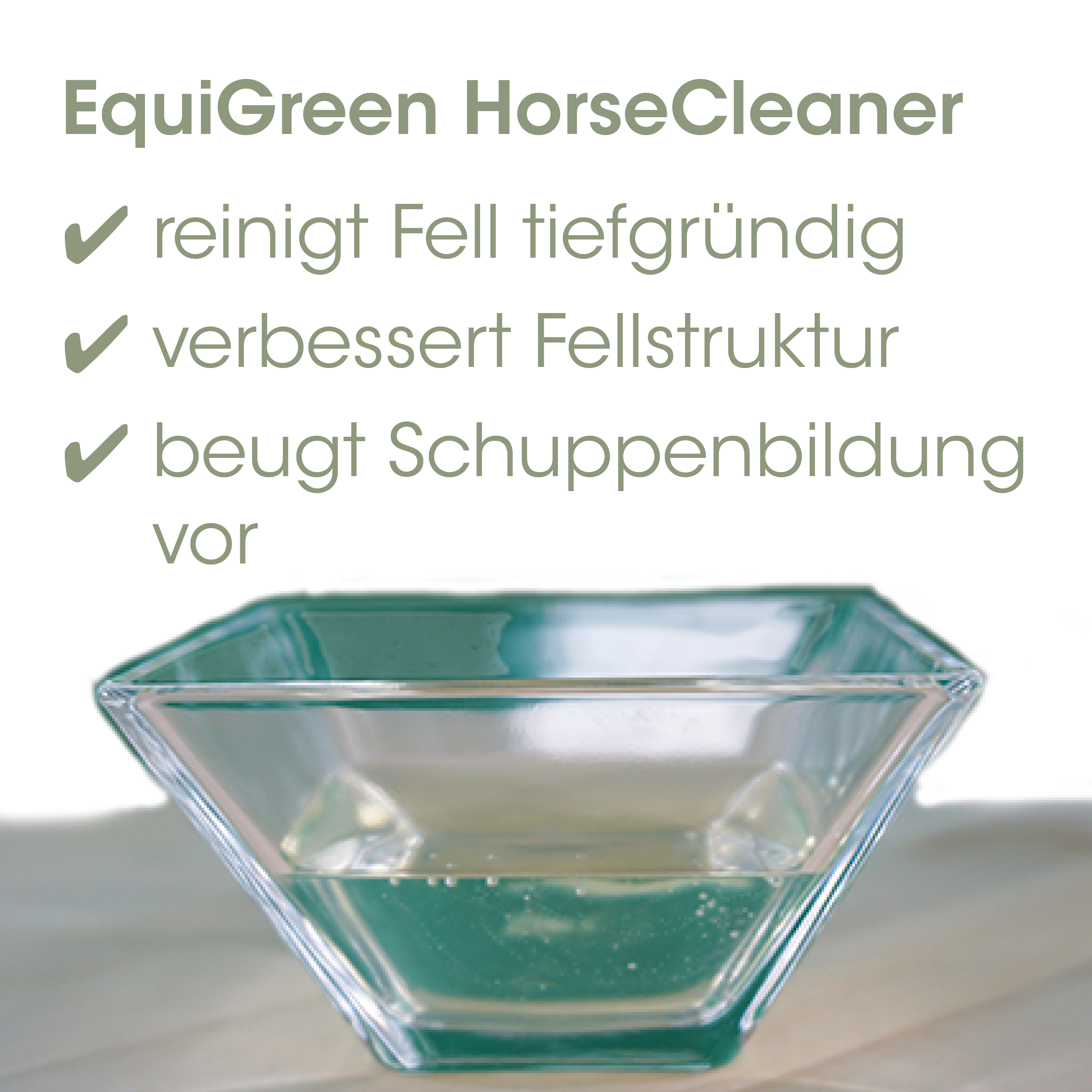 Schüssel, Glasschale, quadratische Schüssel, Grün, Transparenz