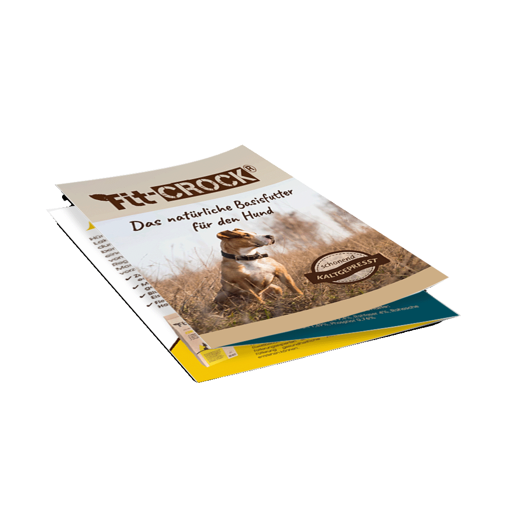 Flyer Fit-Crock, DIN A6 Farbe, DE