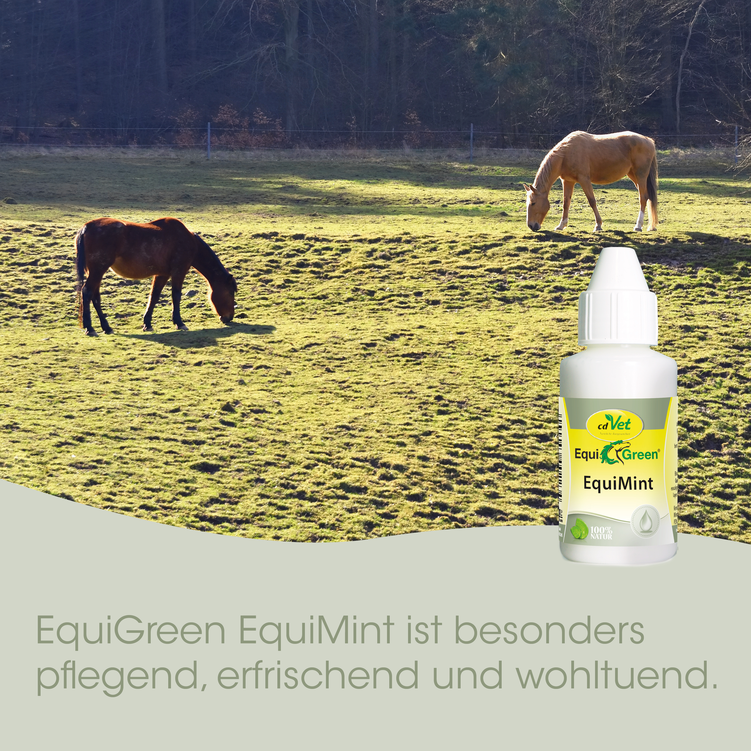 EquiGreen EquiMint 100g