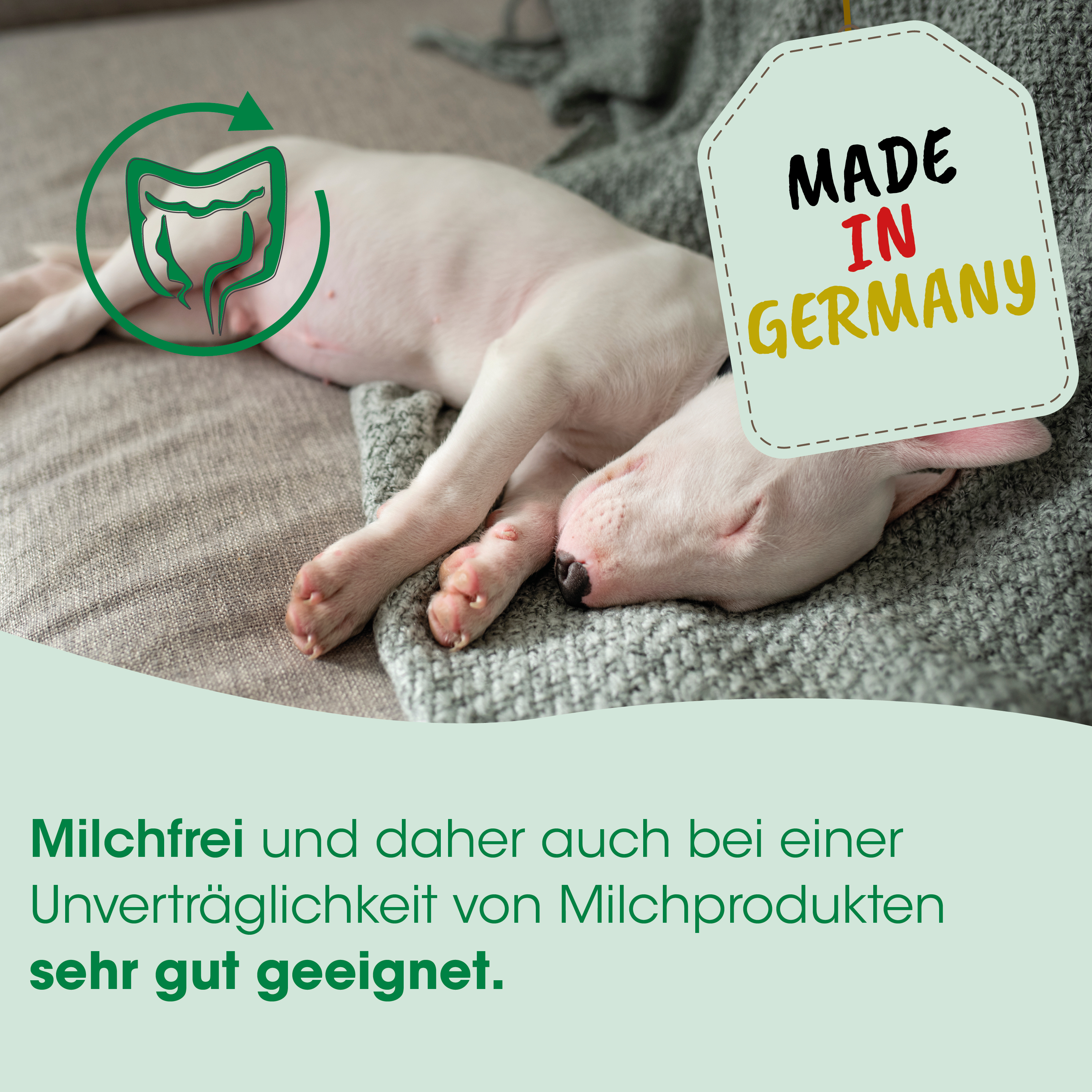 Milchfrei, Hundewelpe?, Milchfrei, Made in Germany, Hautarzt?