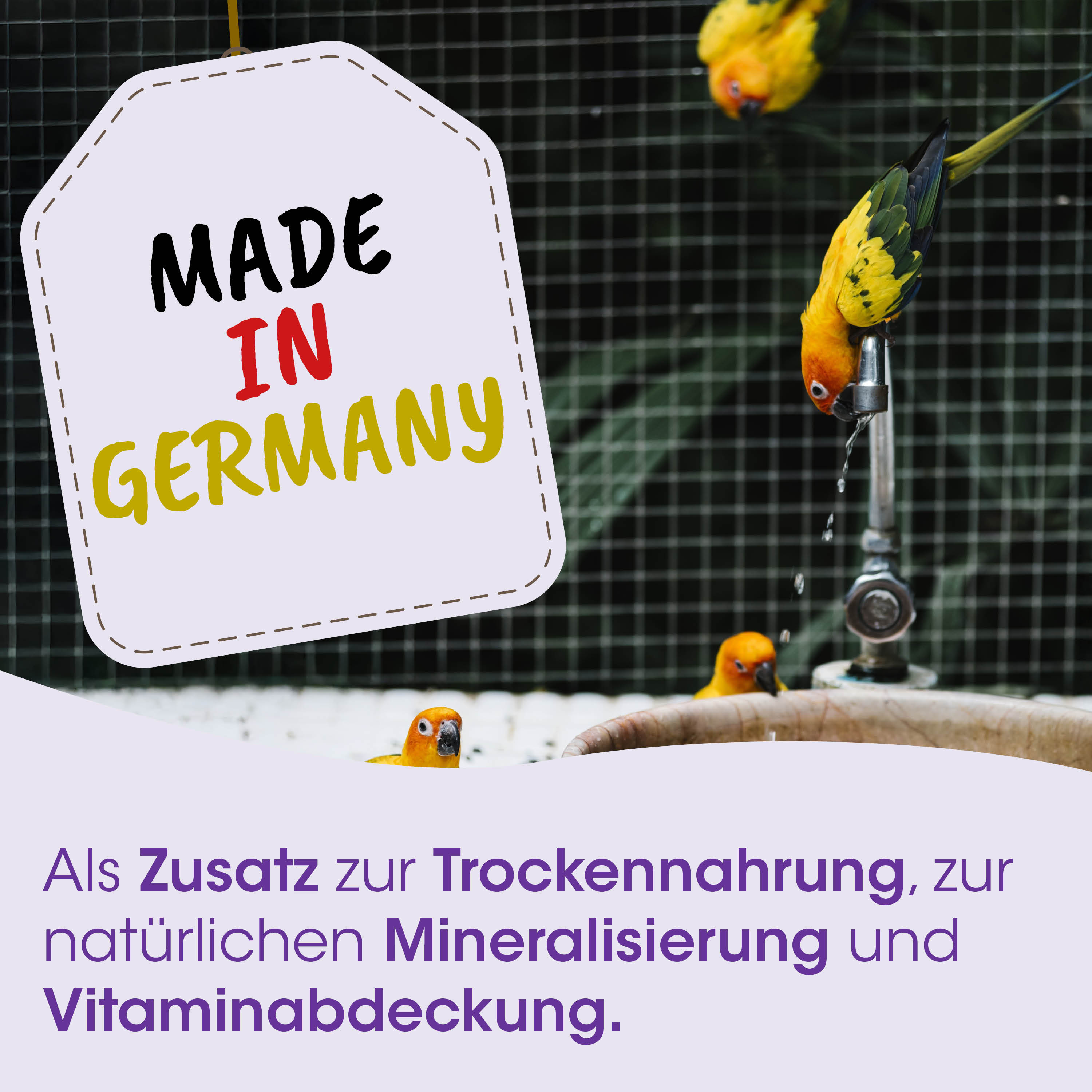 , Made in Germany, Vogel, Papagei, Wasserhahn