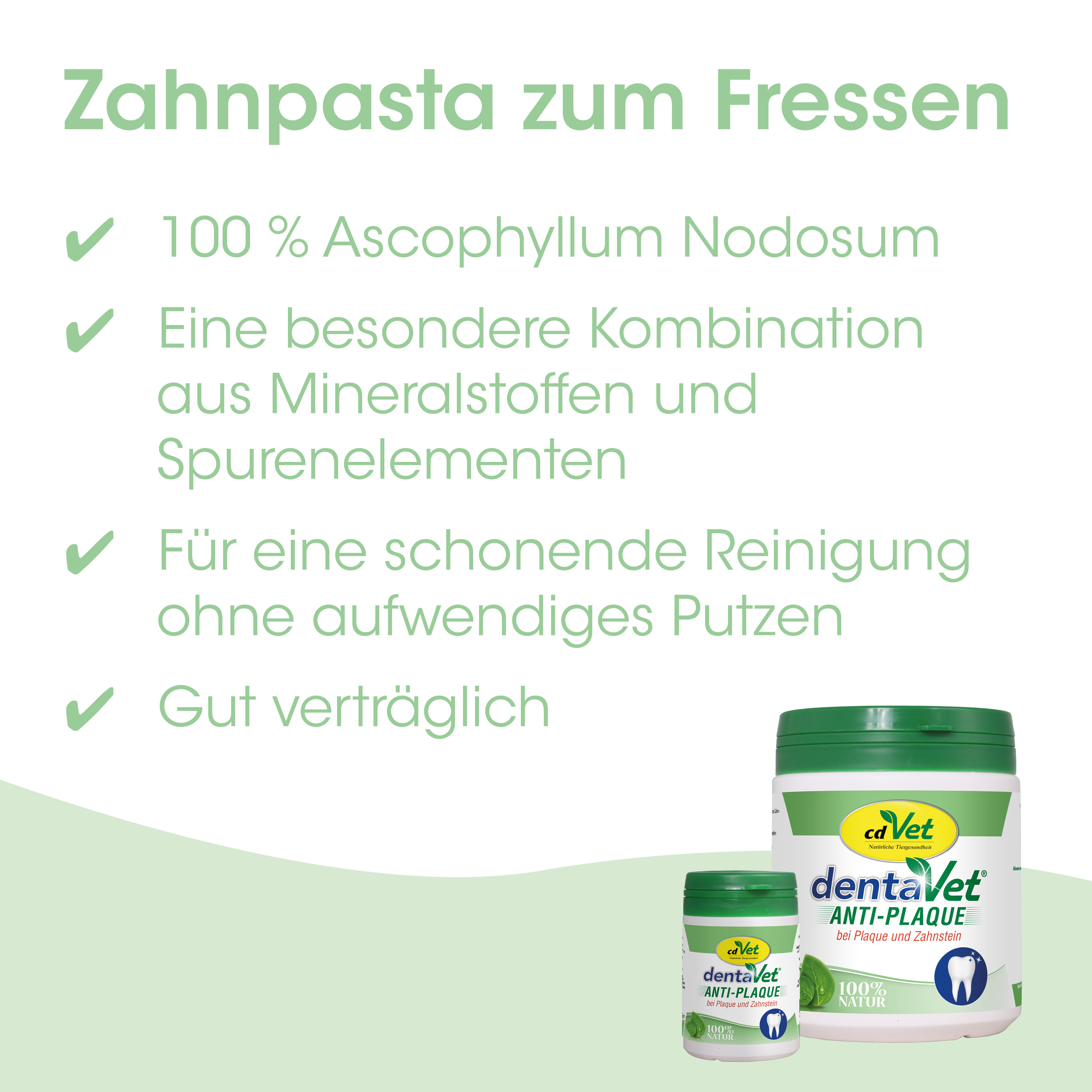 Zahncreme, Zahncreme Pulver, Anti-Plaque, Mineralien, Naturprodukt