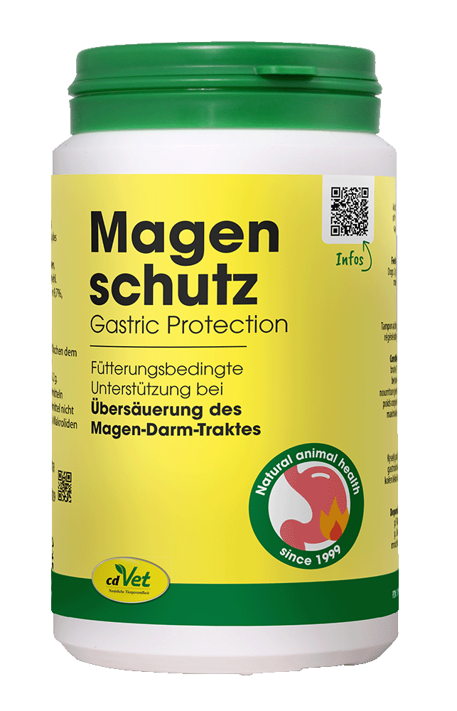 Magen Schutz, Gastric Protection, Futtermittel, Magen-Darm-Trakt, Naturheilkunde