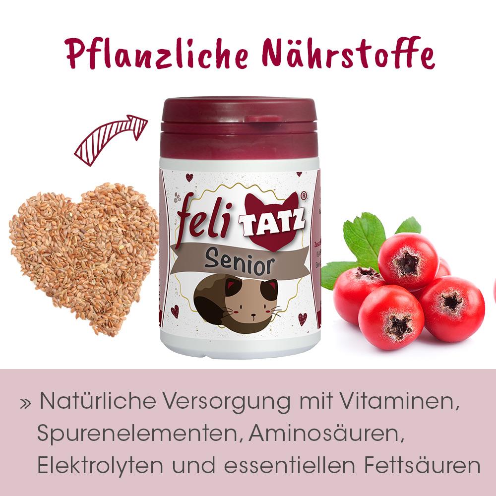feliTATZ Senior 25 g