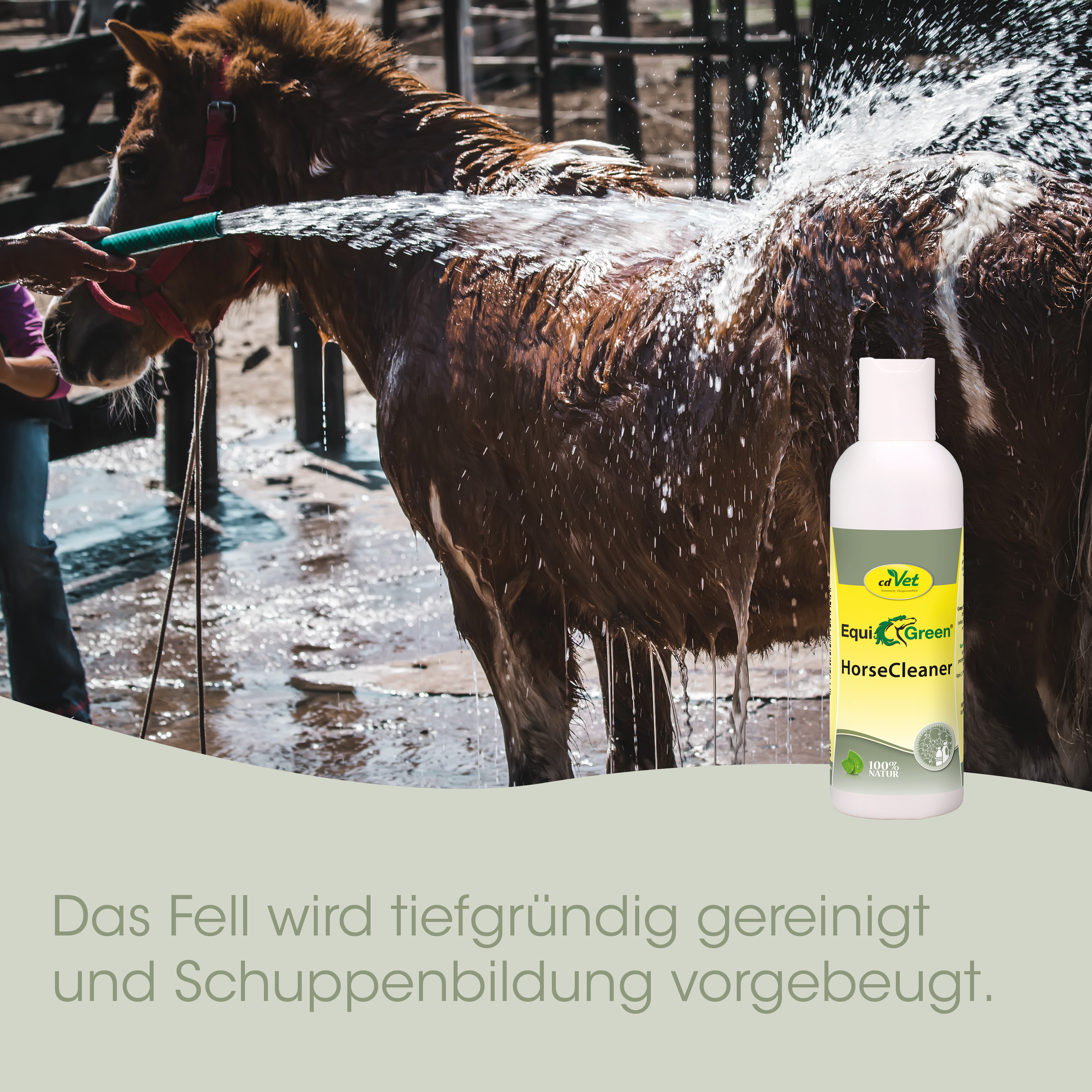 Pferd, Hufpflege, Pferdedesinfektion, HorseCleaner, Shampoo