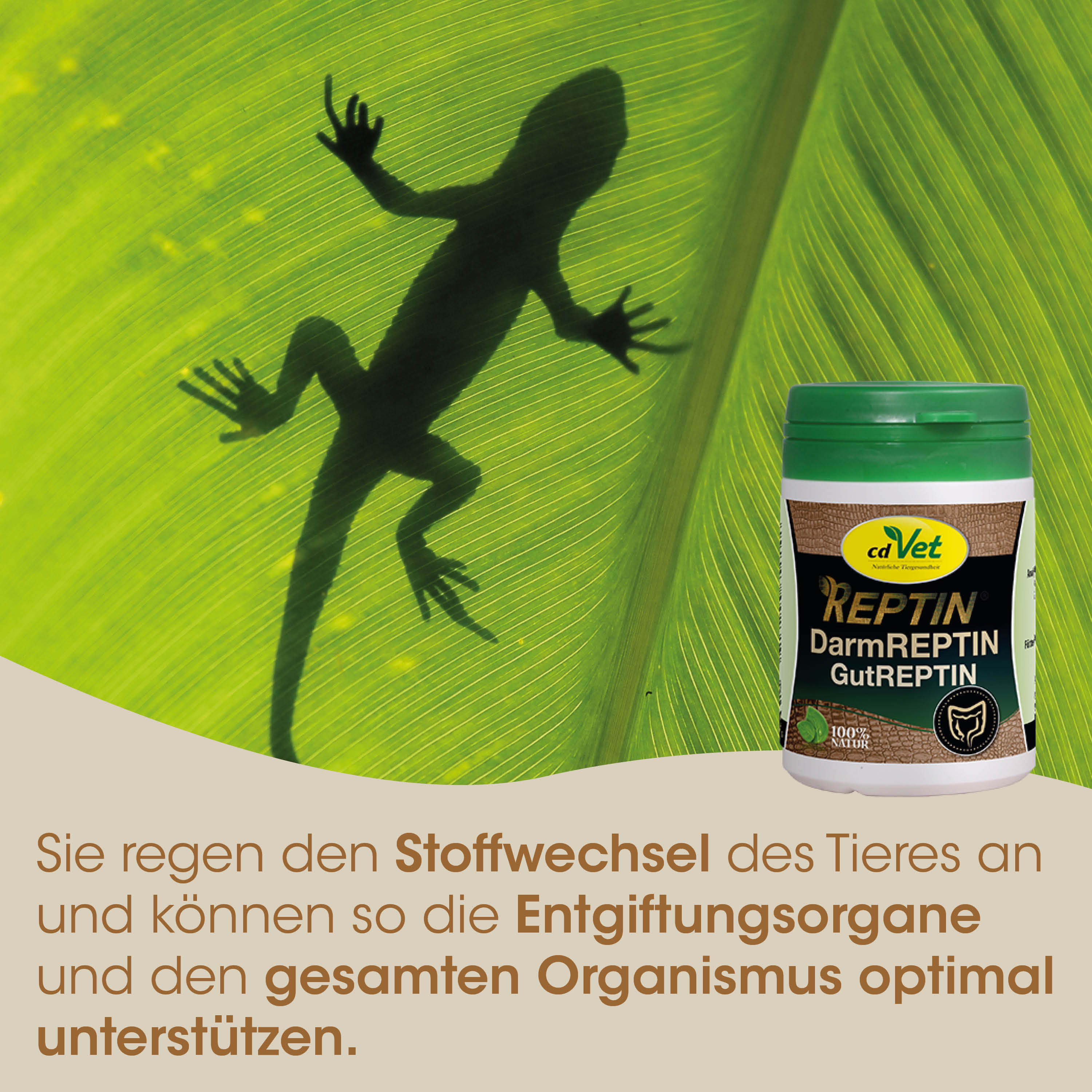 Reptin, DarmReptin, GutReptin, Tiernahrung, Tiergesundheit
