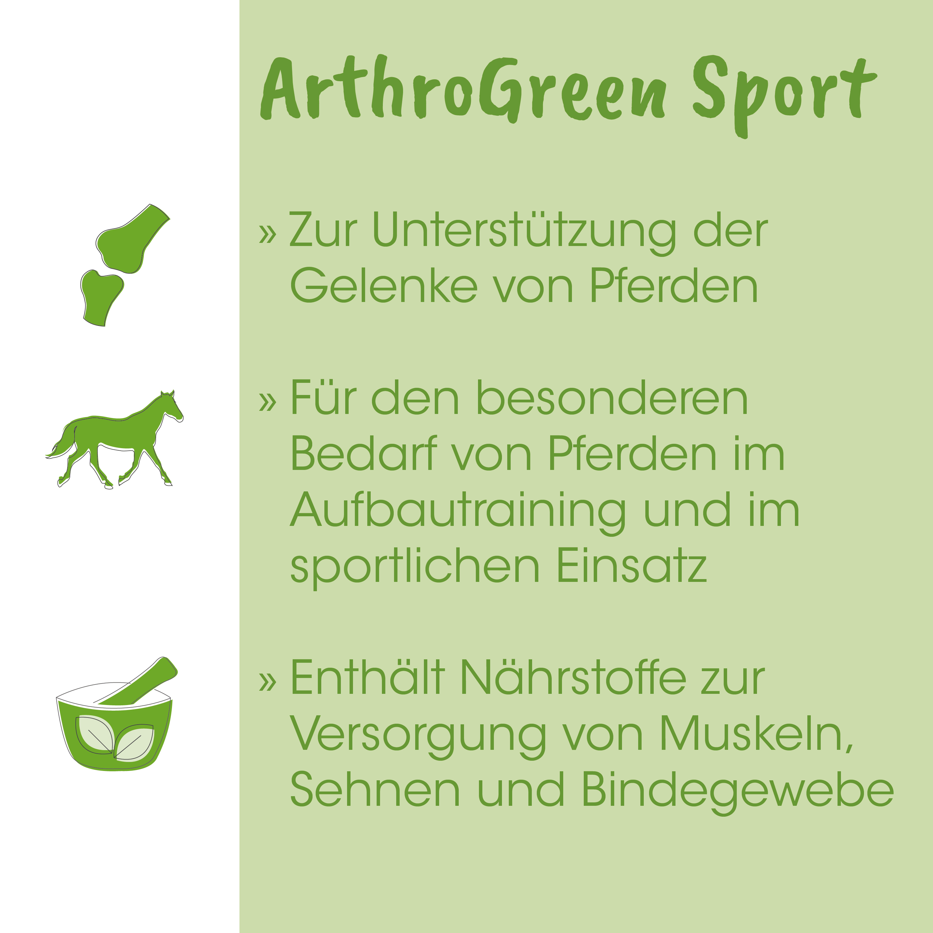 grün, pferd, schüssel, knochen, schuh