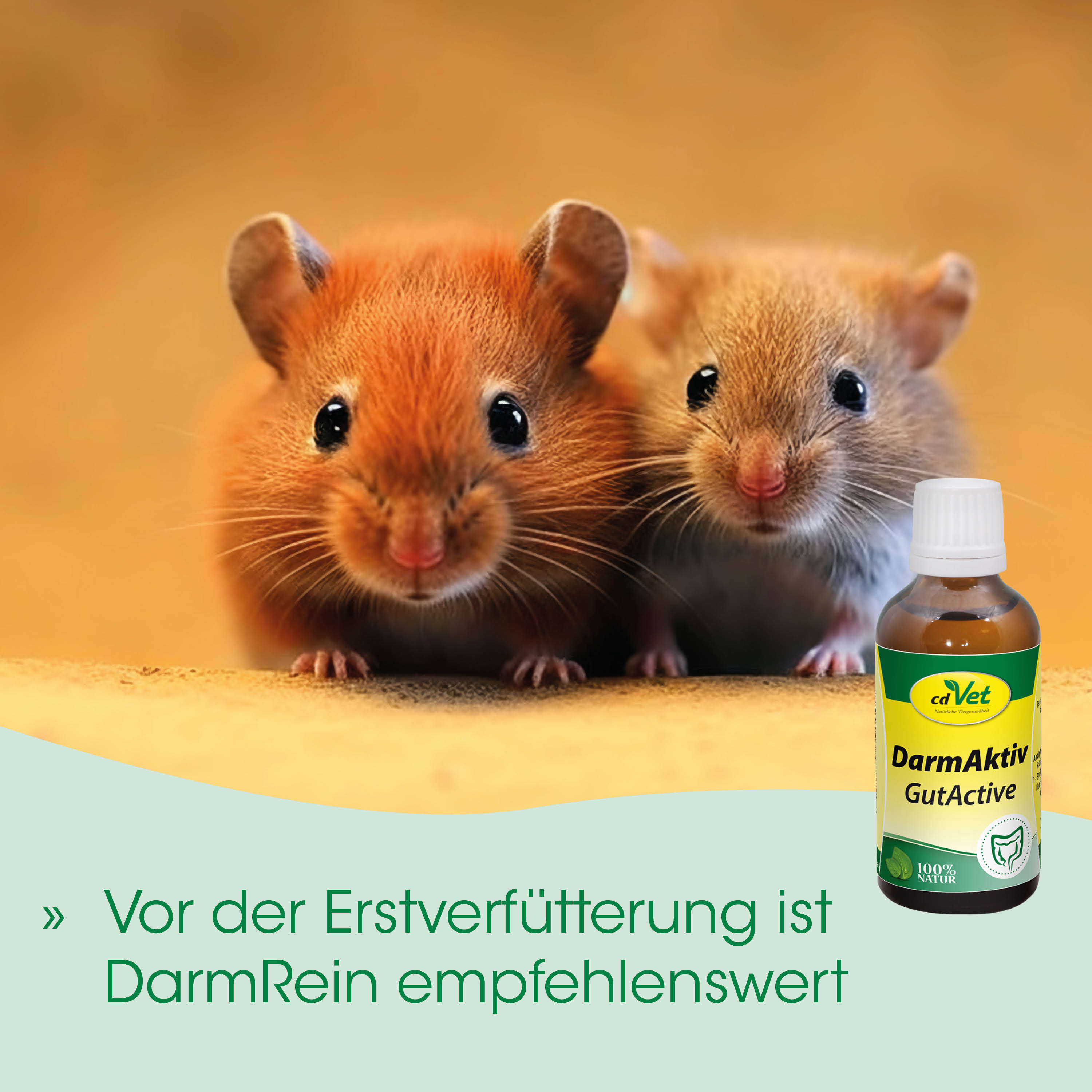 Hamster, Agouti, Kleines Tier, Tierarzt, Flasche