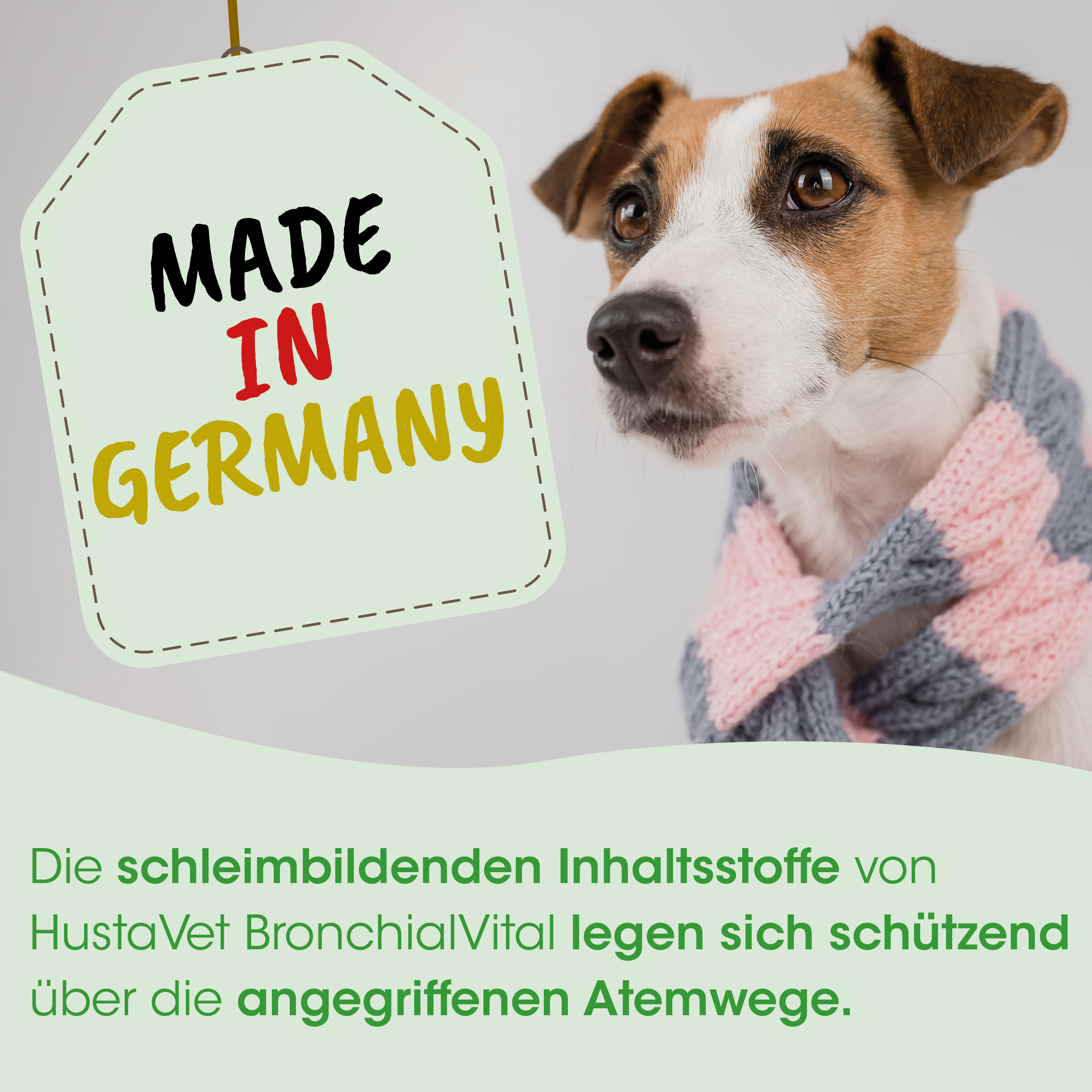 Hund, Schal, Strickschal, Kleidung, Made in Germany