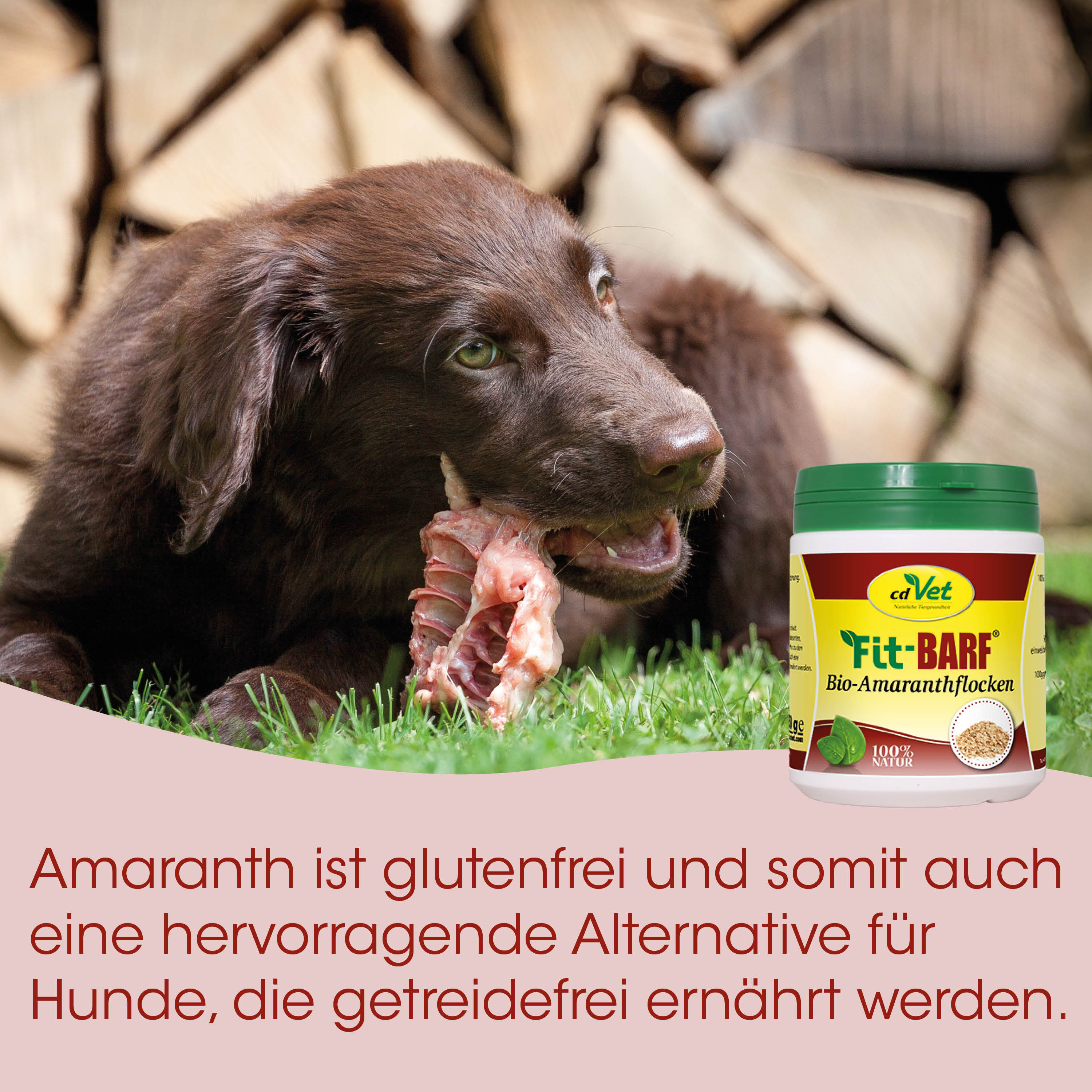 Hund, Kauartikel, Knochen, Bio-Amaranth, Futtermittel