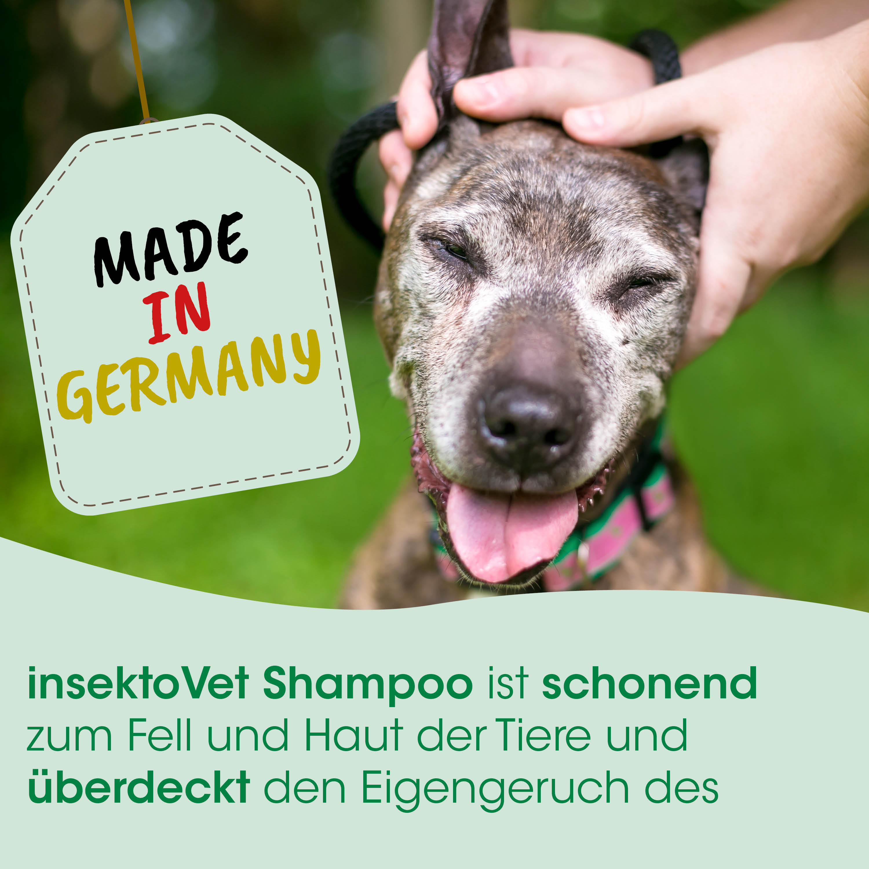 Hund, Tier, Halsband, kurzes Fell, Tag mit Text
