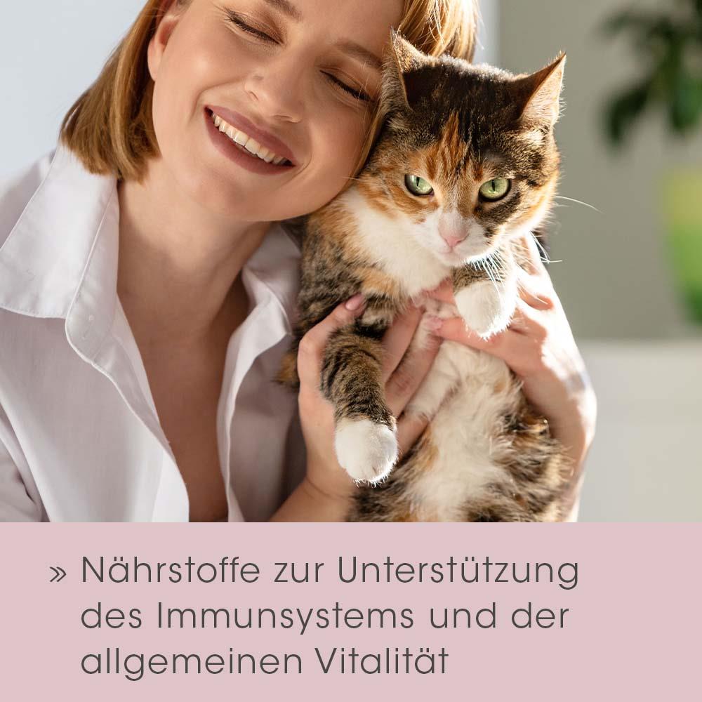 Kopf, Gesicht, Doktor, Portrait, Katze