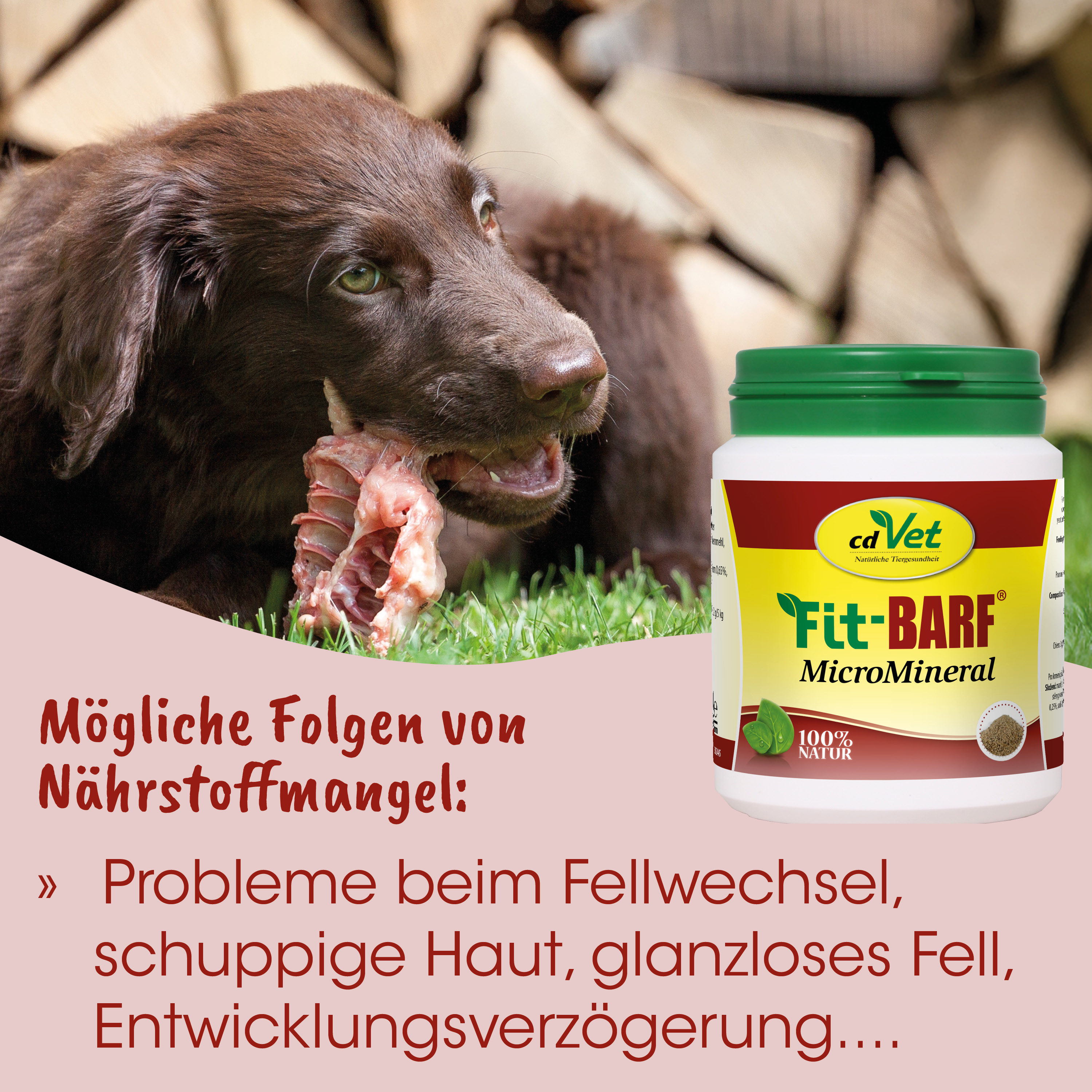 Hund, Hundefutter, Knabbern, Mineralstoff, Futtermarke