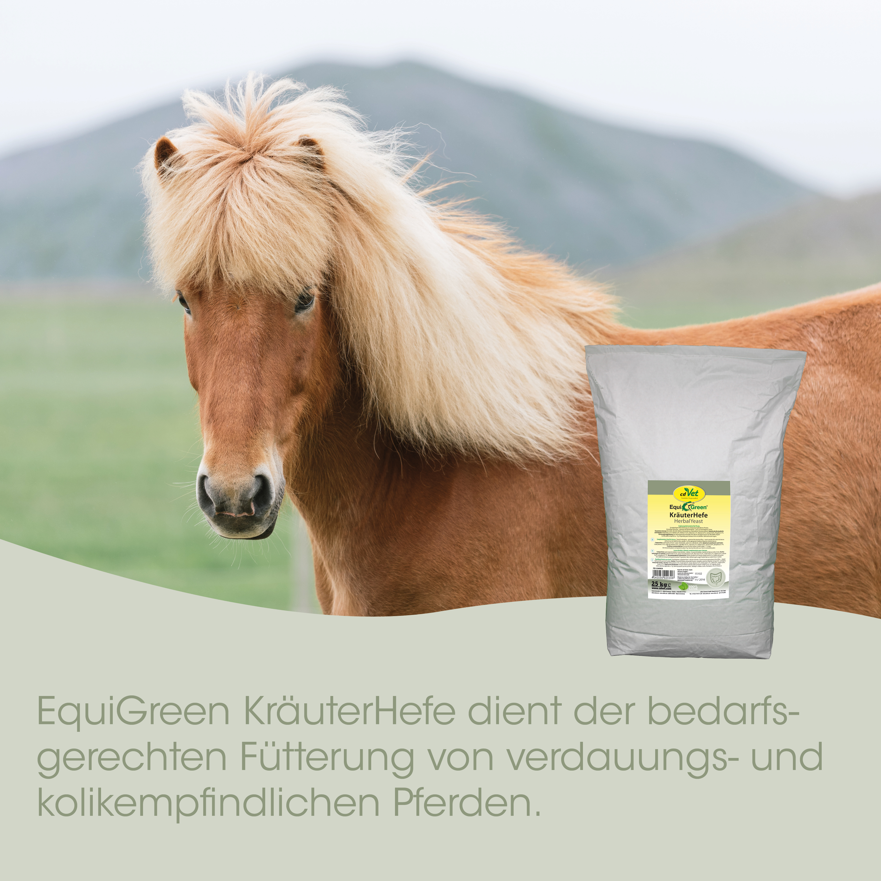 pferd, pony, pferdefutter, fütterung, haferfreies futter