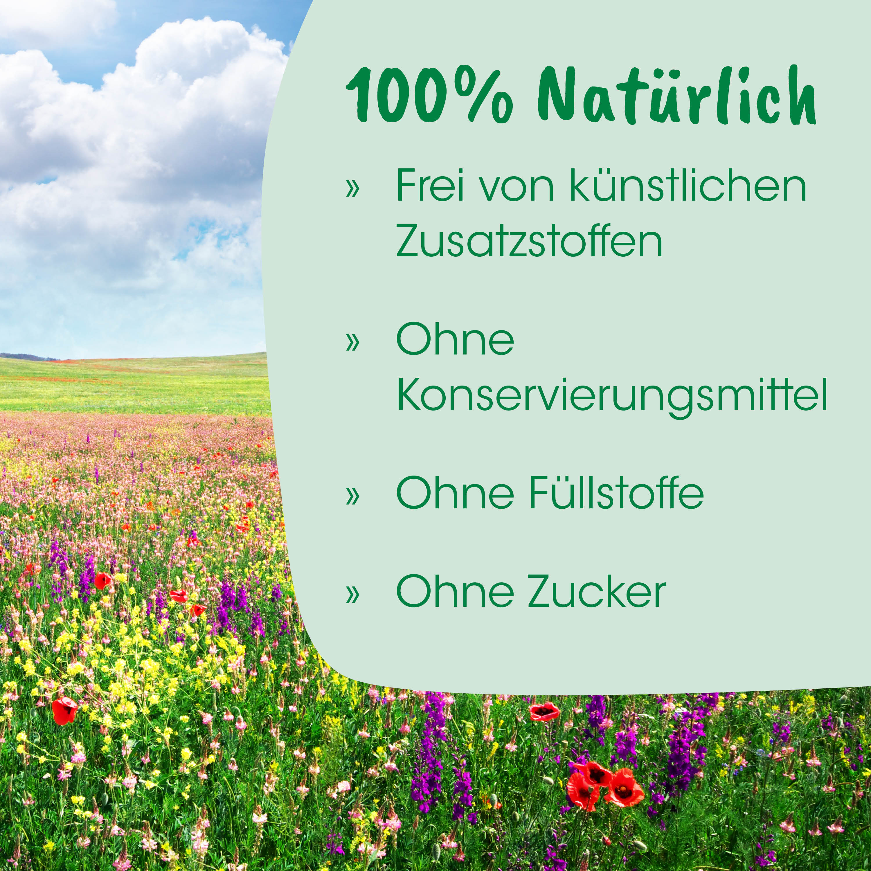 Blumenfeld, Wildblumen, Wiese, Wiesenfläche, Sommer