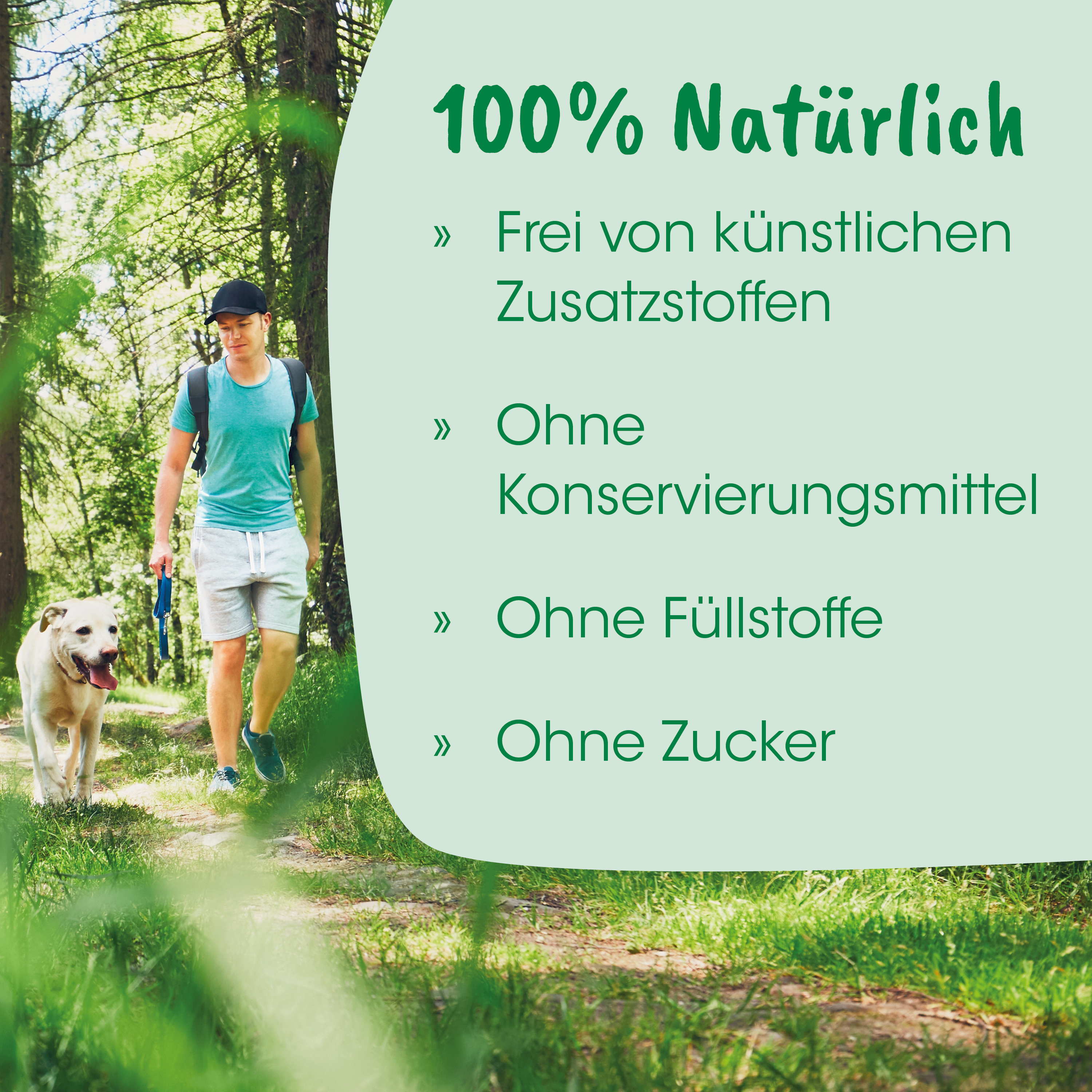 outdoor, Mensch mit Hund, Waldweg, Landschaft, Sommer