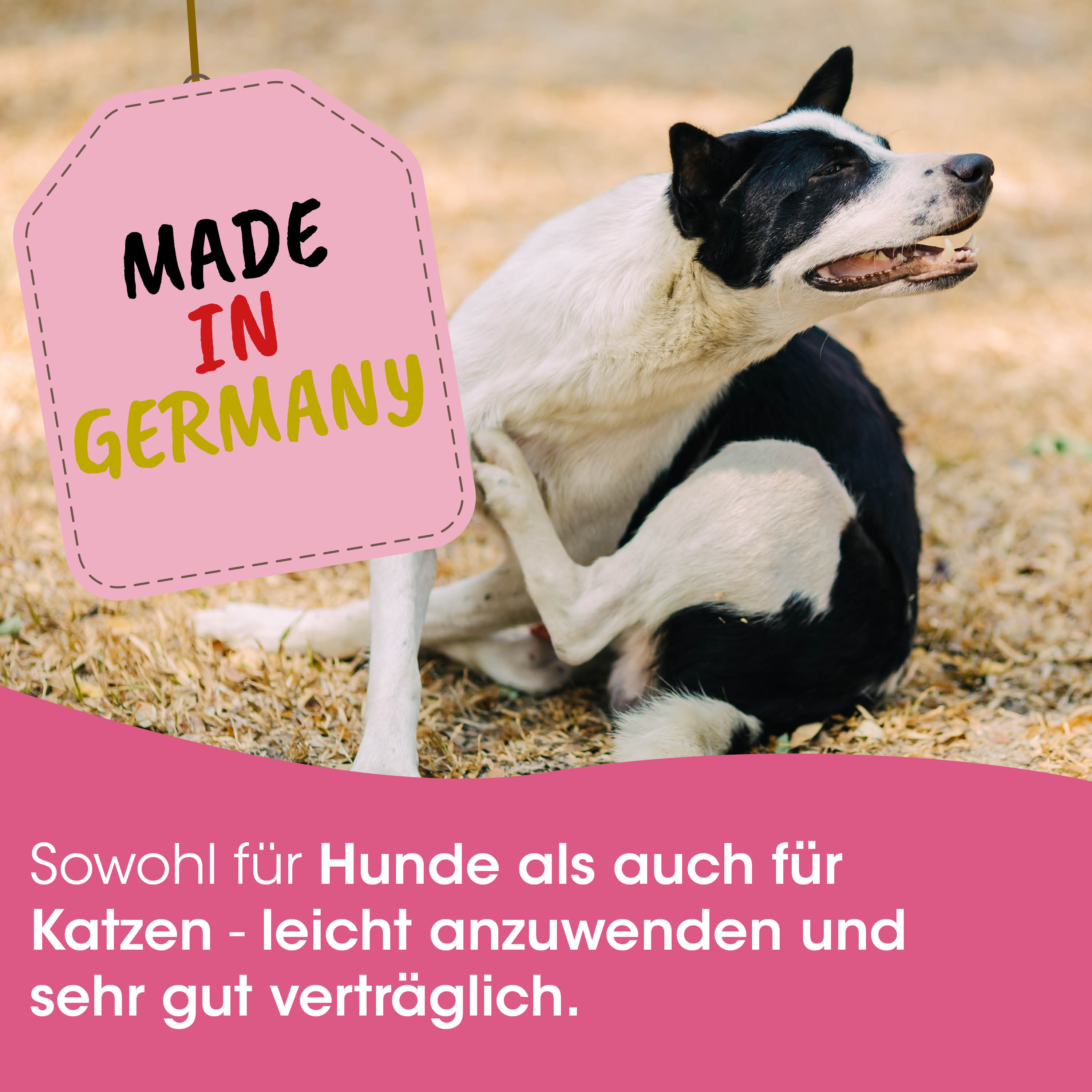 Hund, schwarz-weiß, Sitzend, Aufkleber, Made in Germany