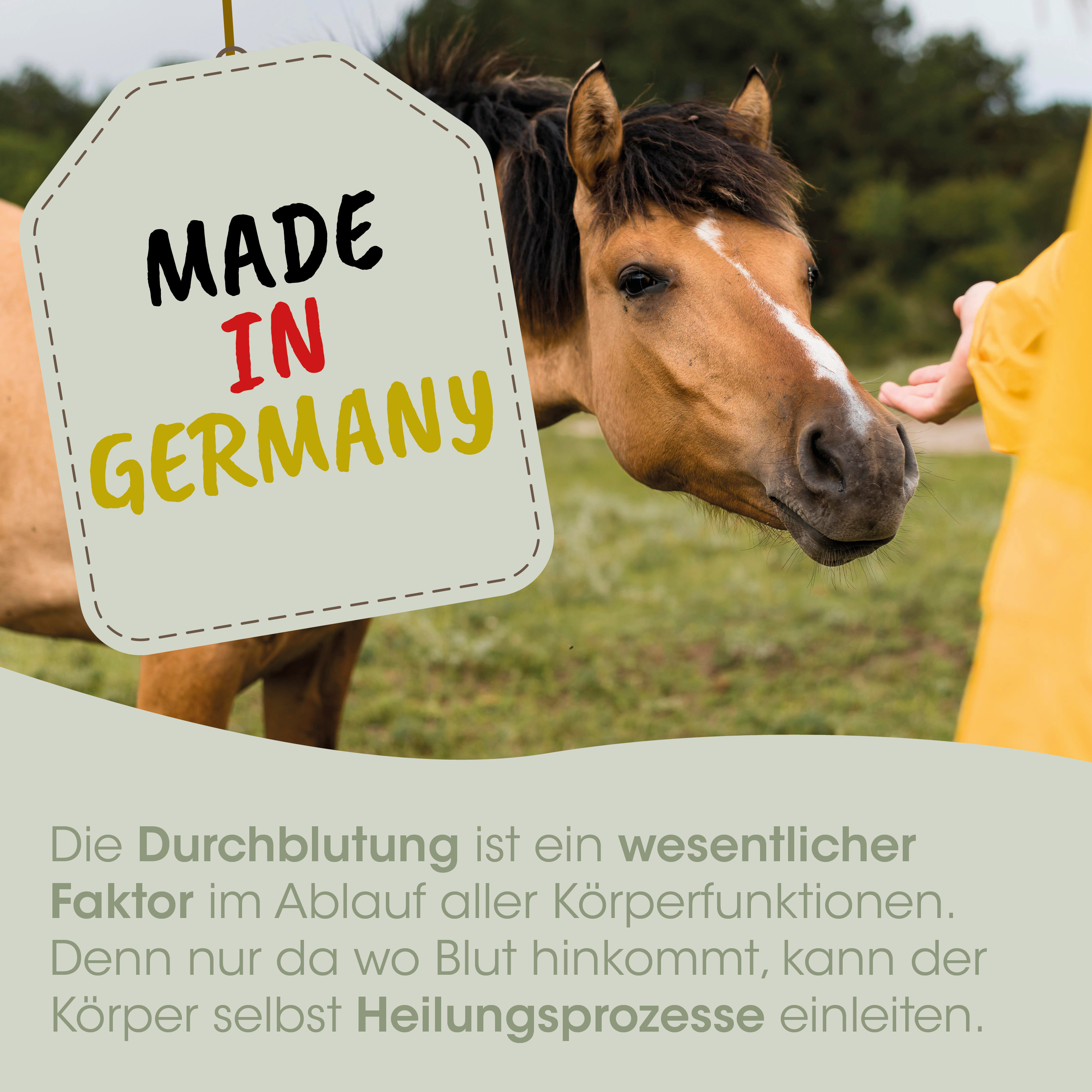 pferd, braunes pferd, etikett, hergestellt in deutschland, handgeste