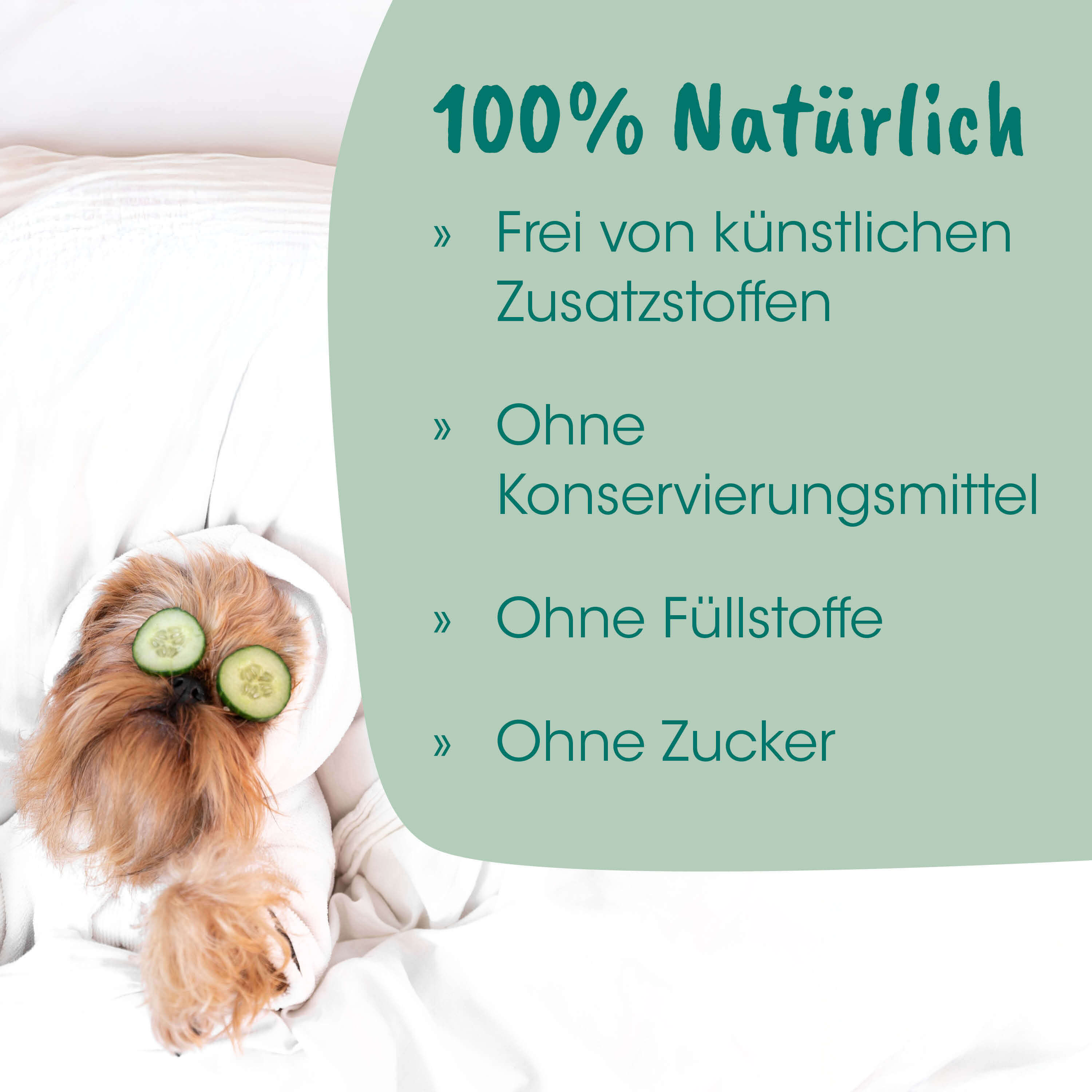Hund, Kuscheltier, Hundebett, Gurken, Schlafbrunnen?