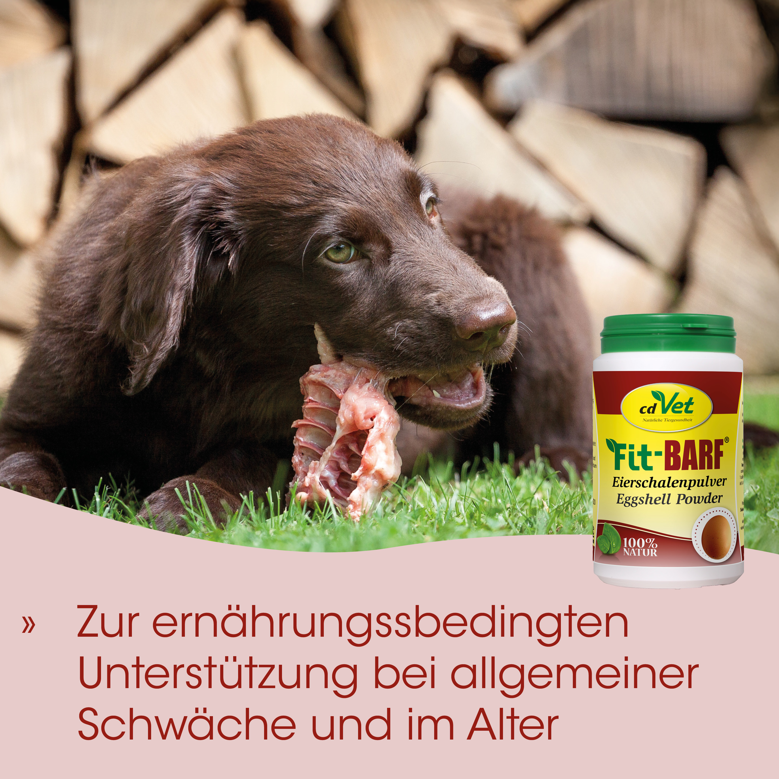 Hund, Hundefutter, Eierschalenpulver, Eggshell powder, Knochenfutter