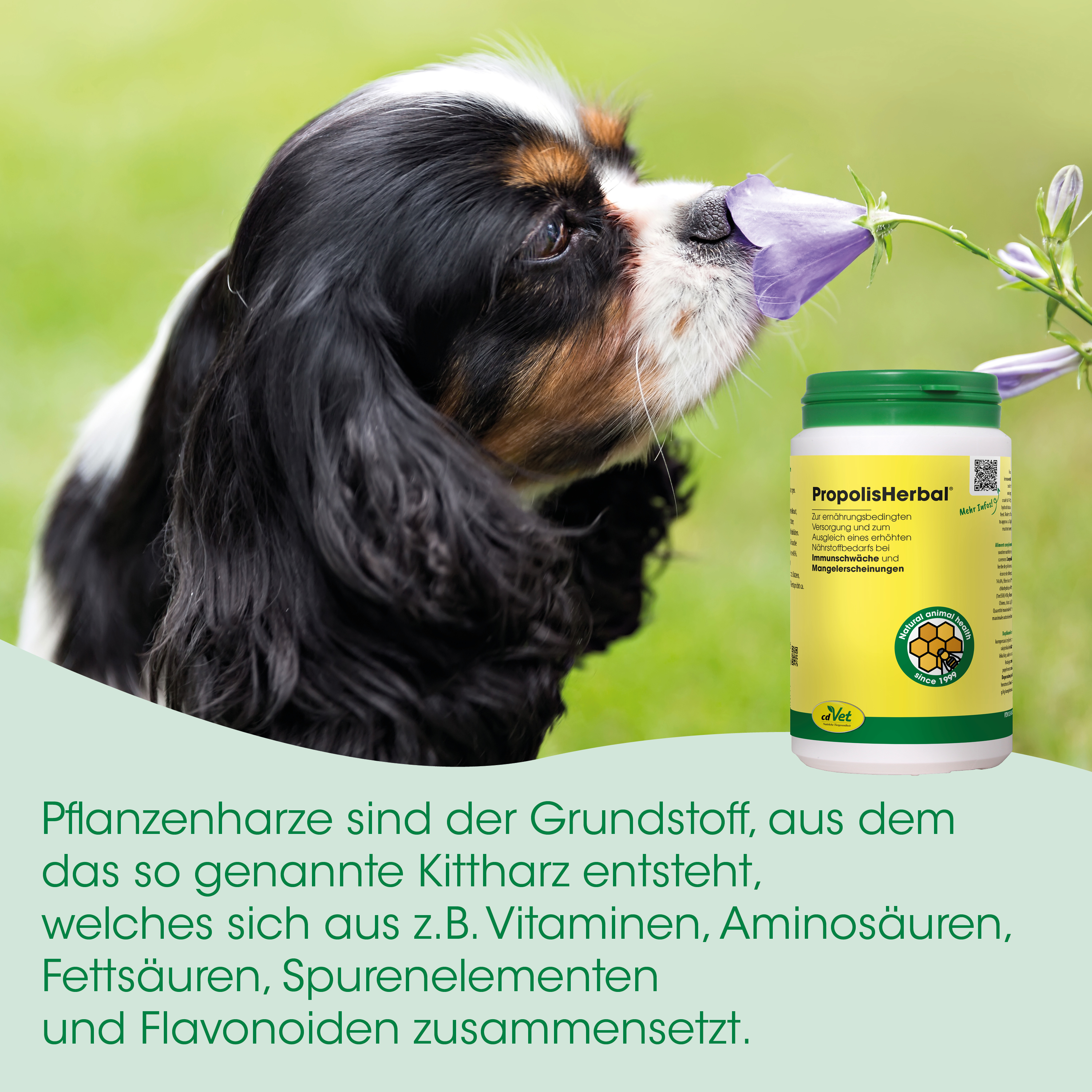 Hund, Tierernährung, Flasche, grüner Deckel, Anzeige