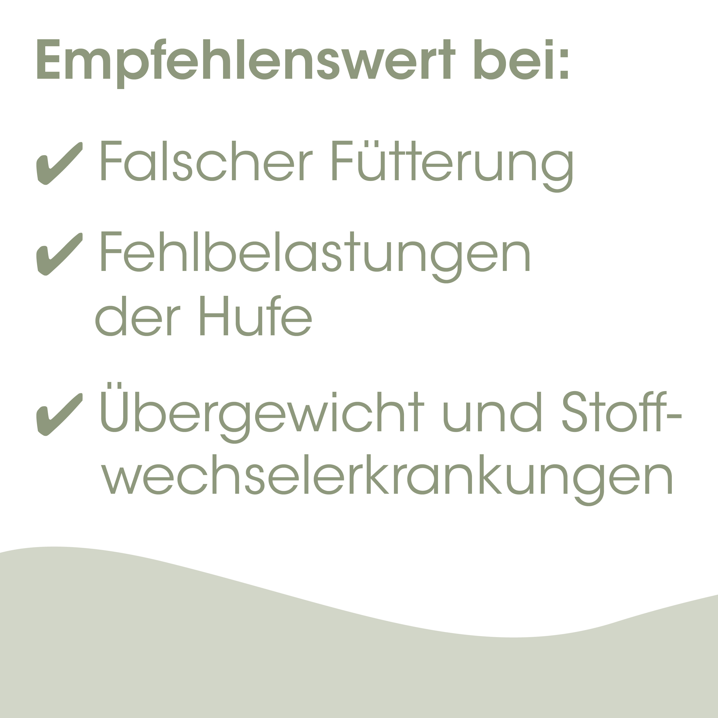 Futterung, Hufe, Übergewicht, Stoffwechsel, Kuschelfußball