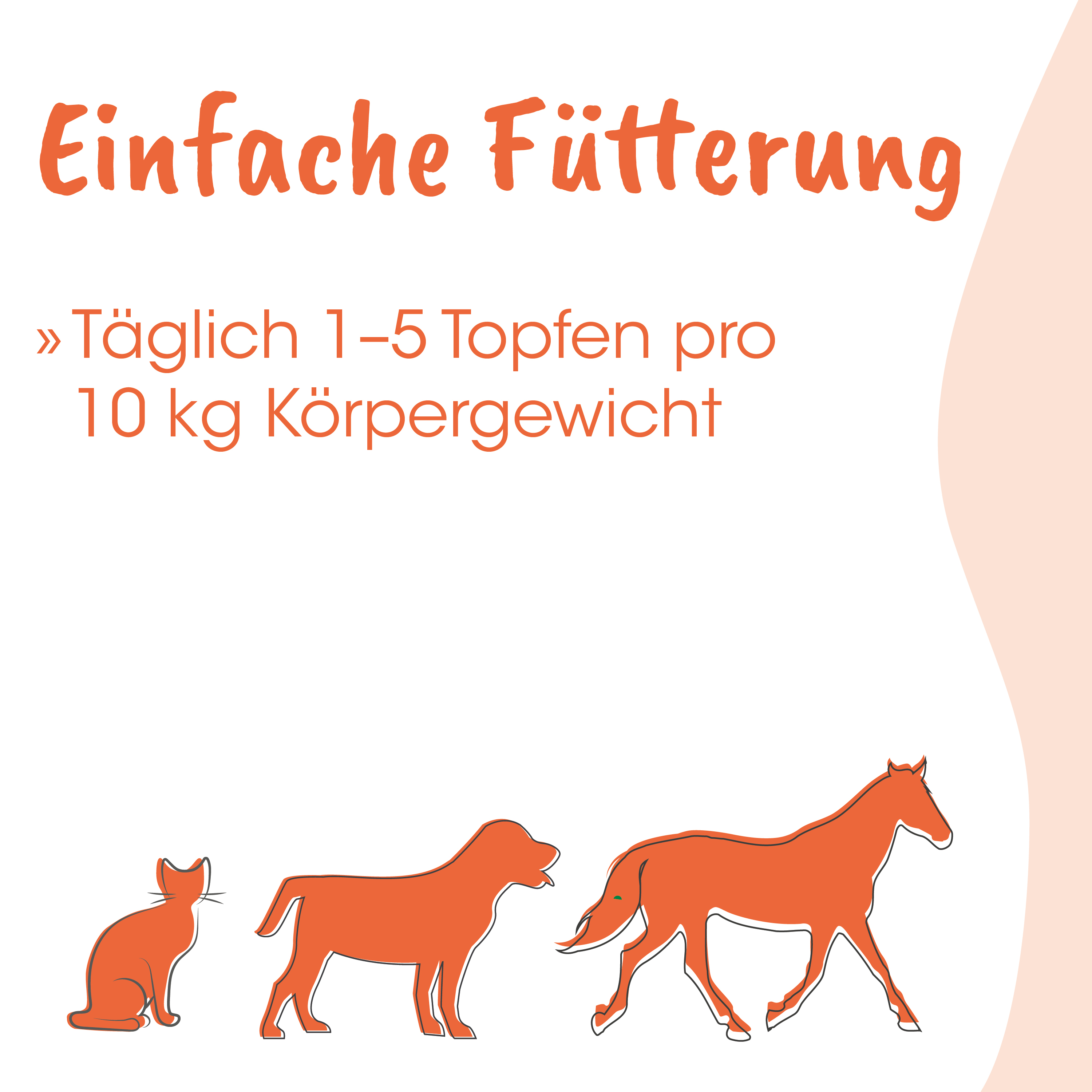 Katze, Hund, Pferd, Illustration, Orangene