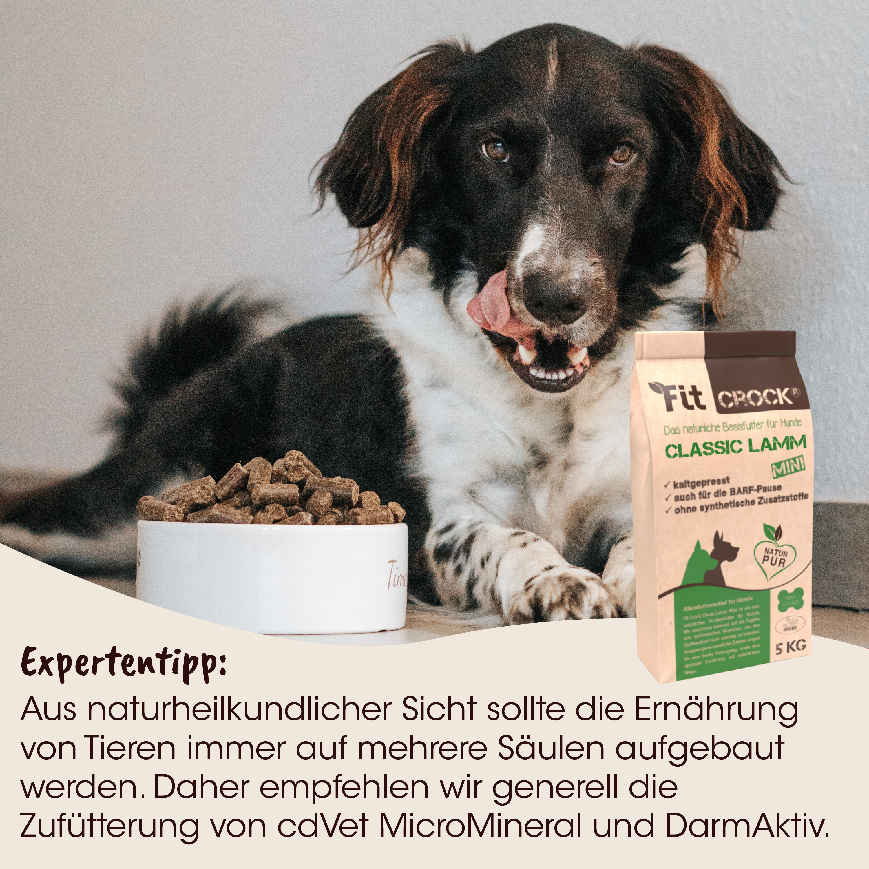 Hundeprotein, Kausnacks, Hunde-Trockenfutter, Tierfutter, Knochenformiges Futter