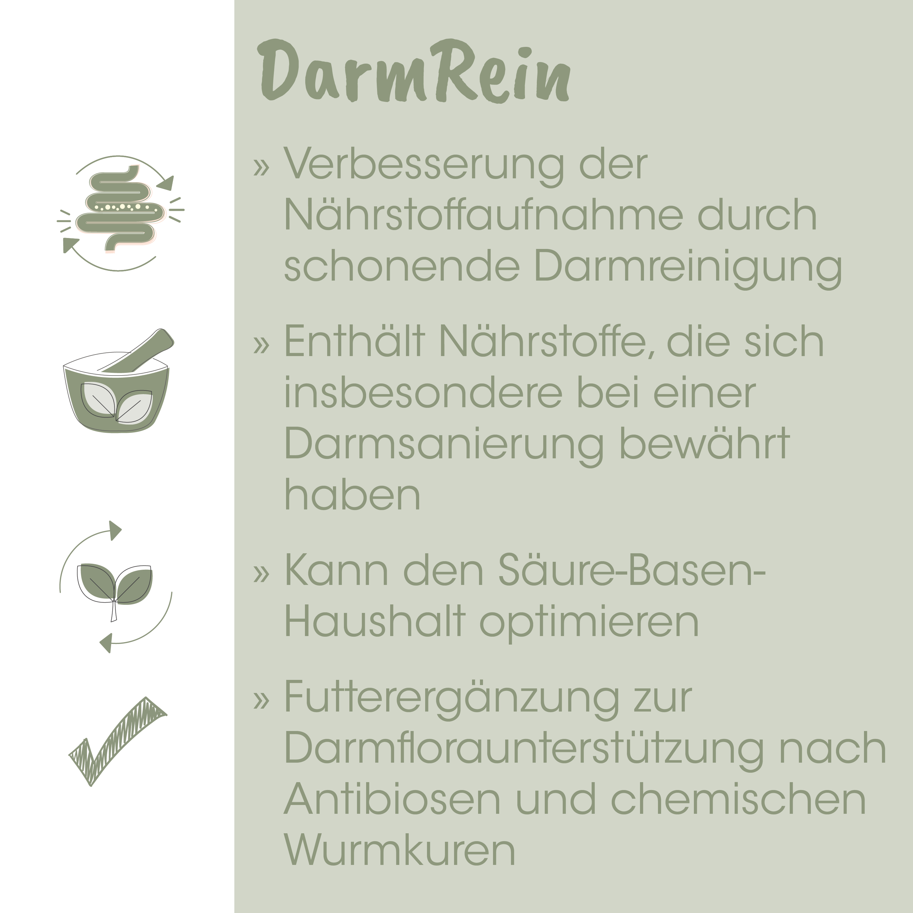 Darm, Nahrungsergänzung, Kapsel, Kleines Gefäß, Rundform