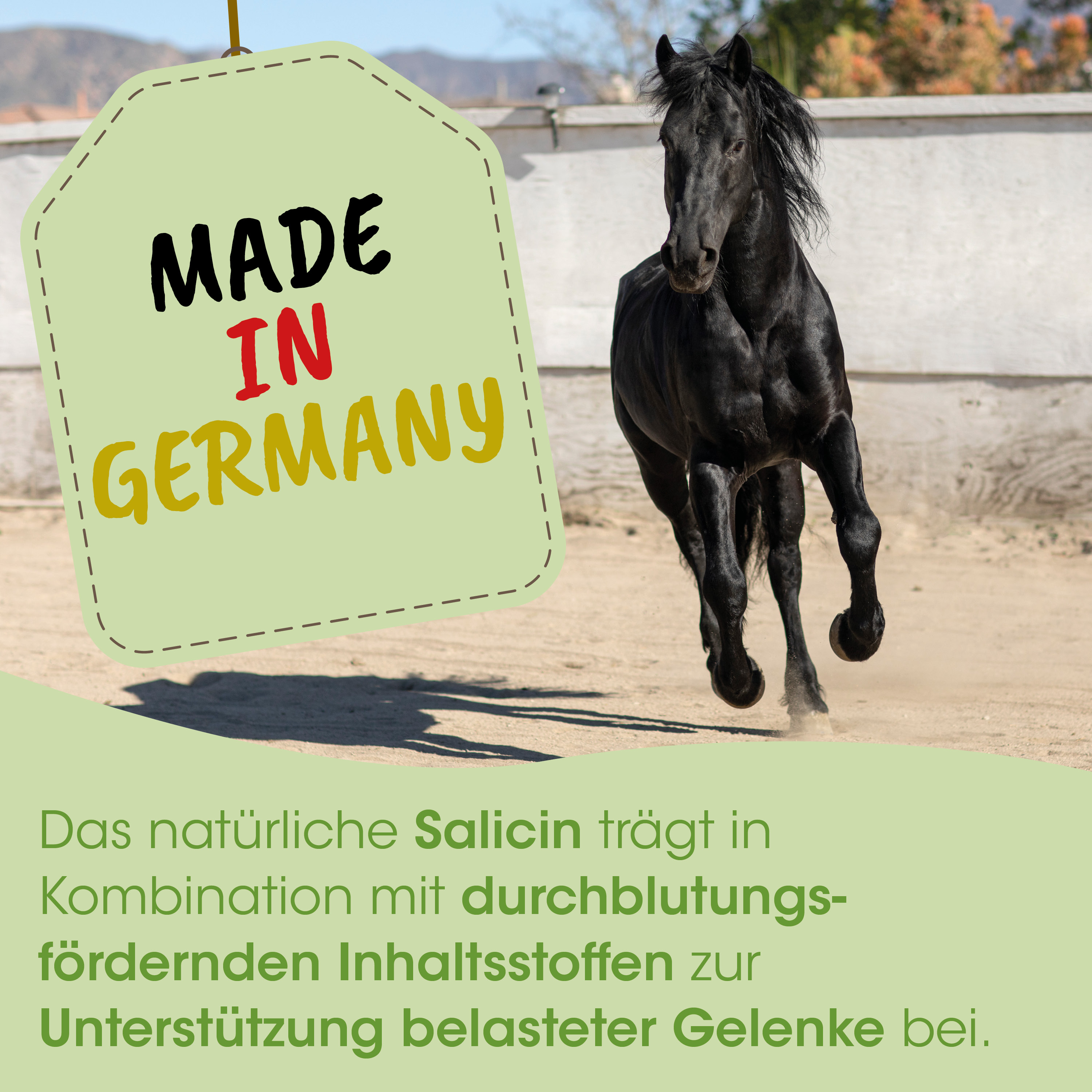 pferd, schwarz, tier, landwirtschaft, kennzeichnung