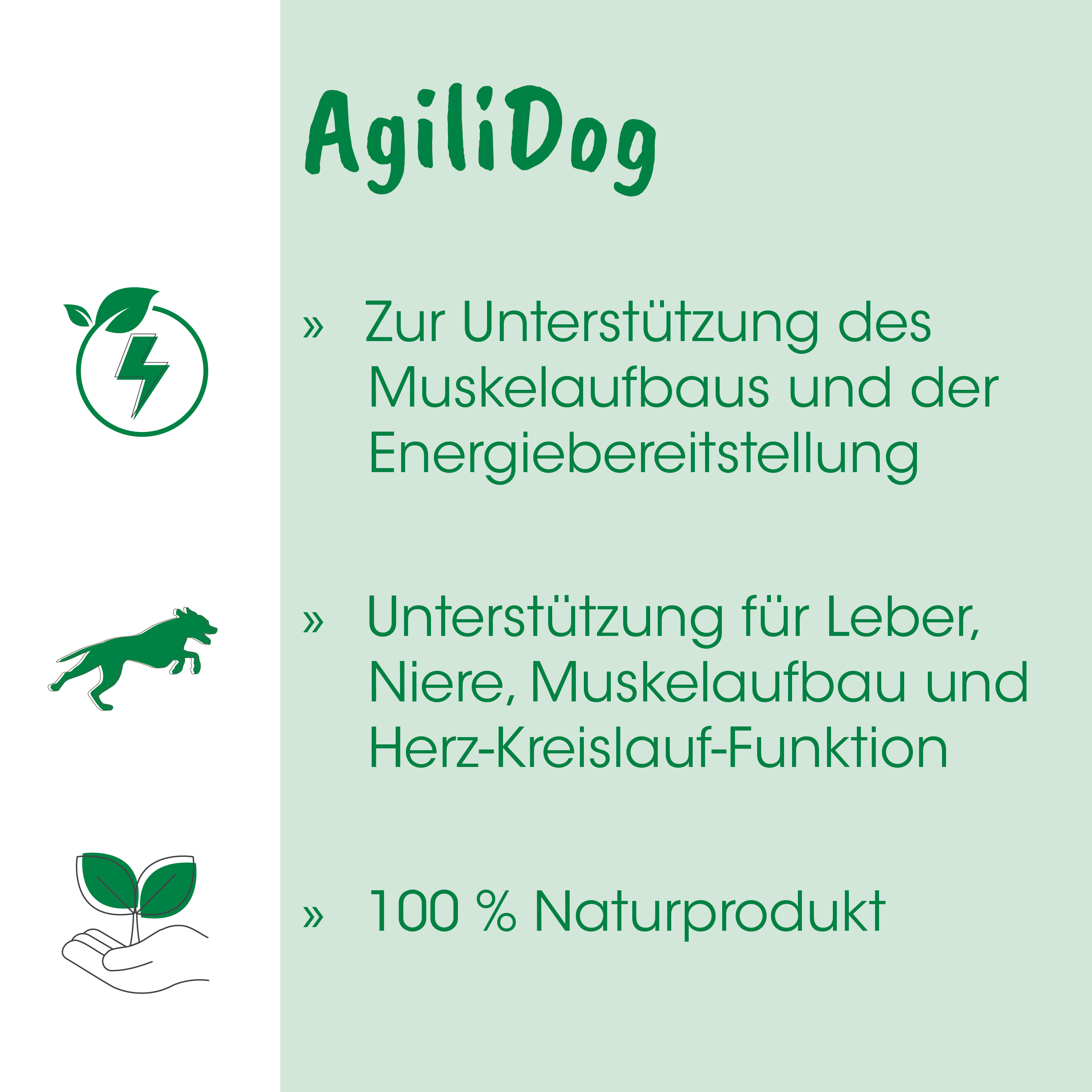 Hundebild, Agilidog, Energie, Muskelaufbau, Naturprodukt
