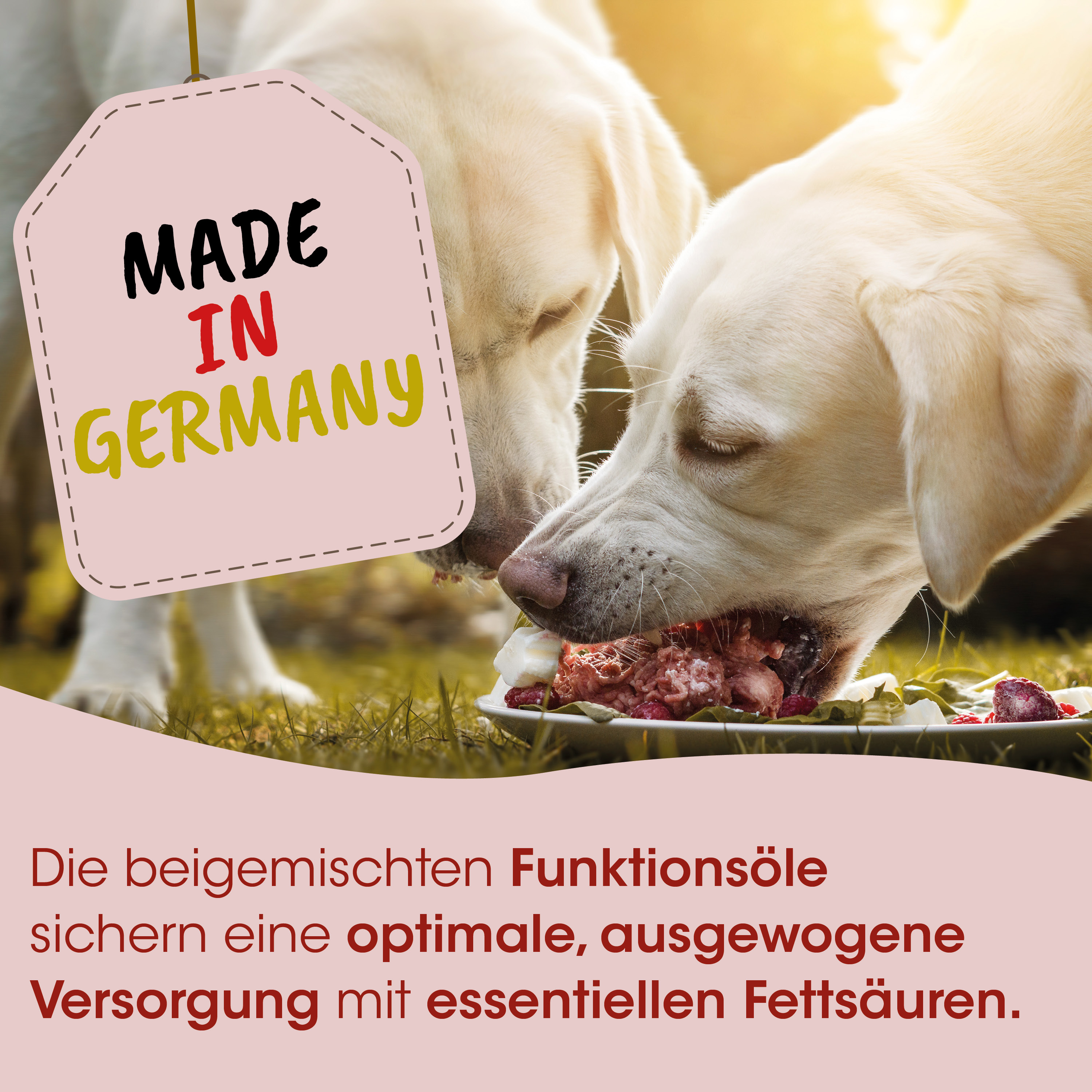 Hunde, Futter, Nassfutter, Knochen, Mahlzeit