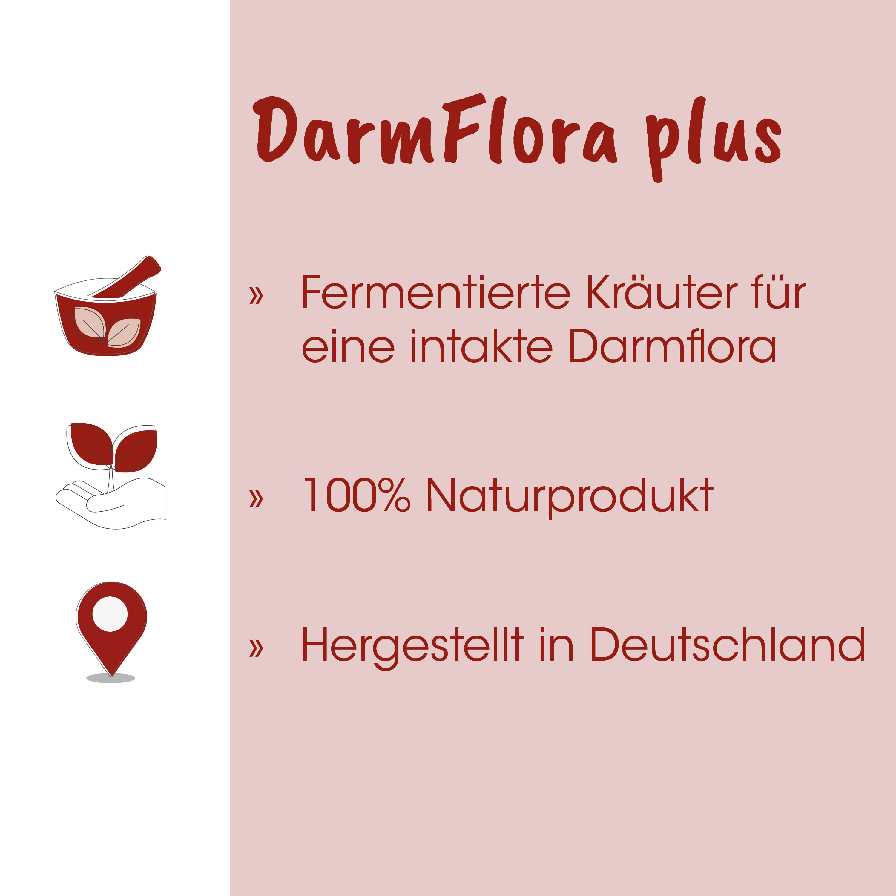 Fermentierte Kräuter, Darmflora, Naturprodukt, Herstellung Deutschland, Kräutertee
