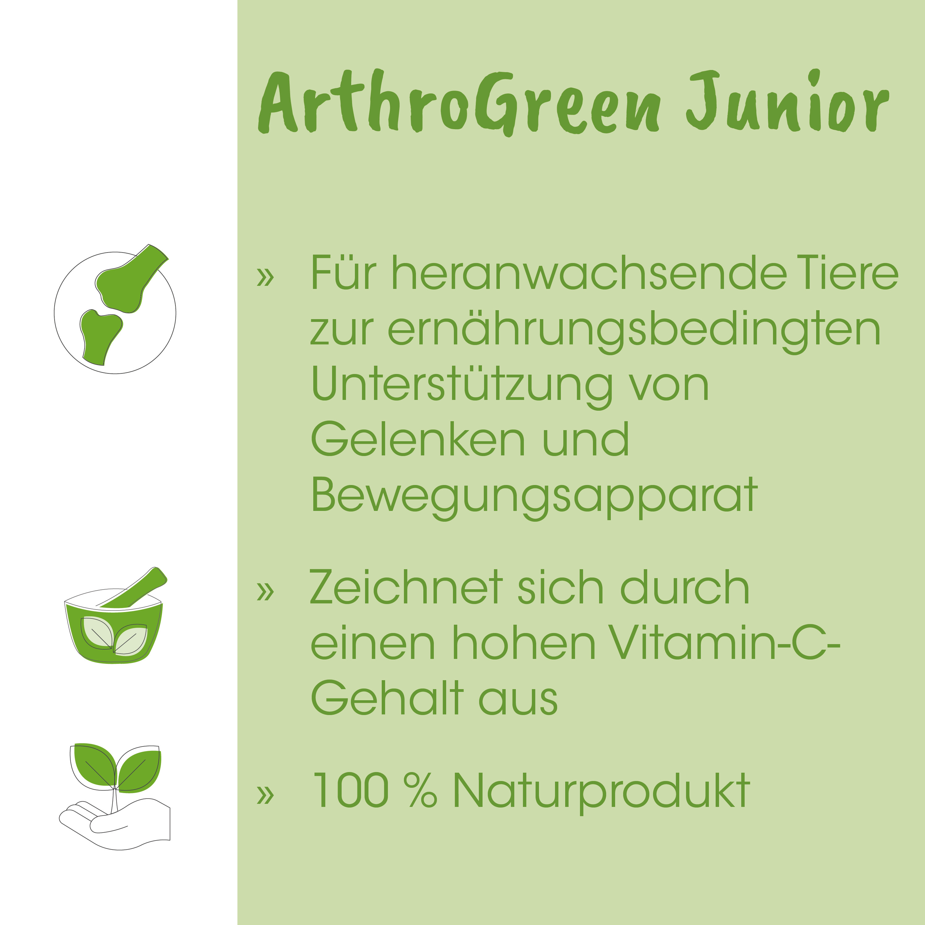 pflanze, naturprodukt, grün, umwelt, hand