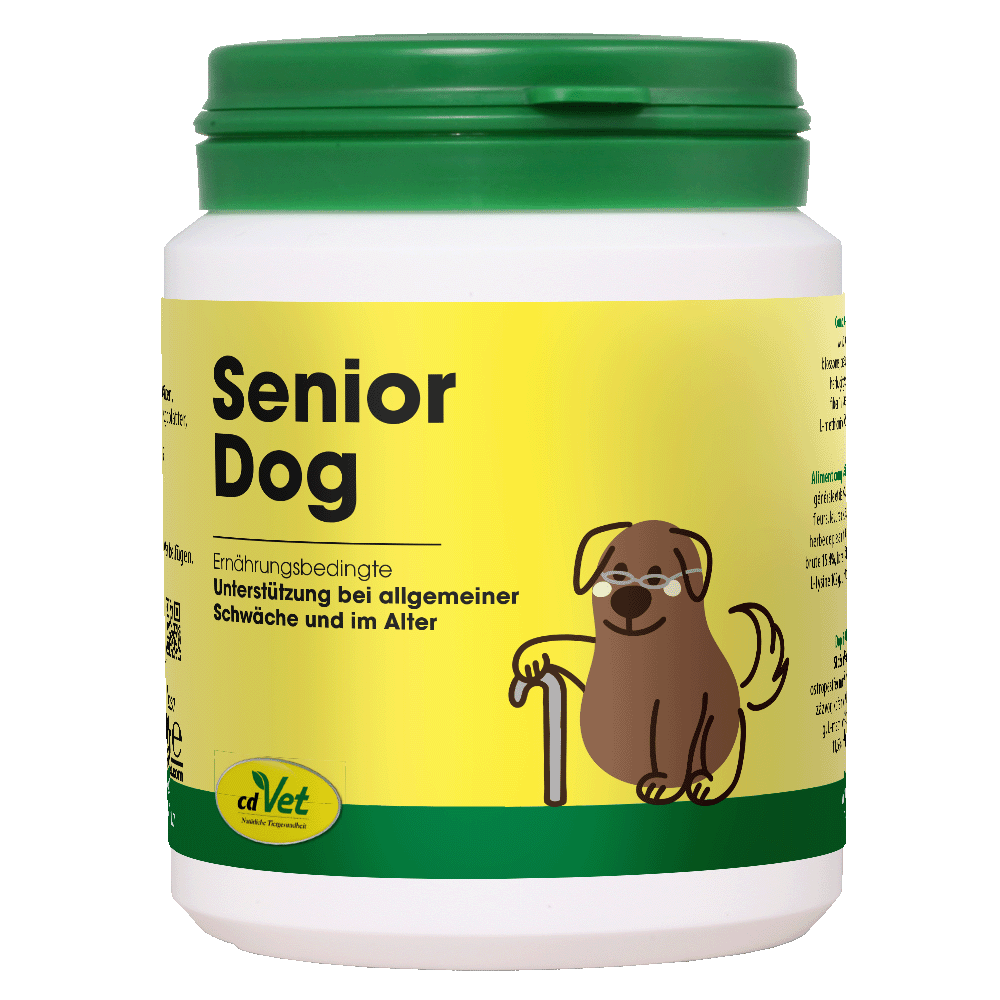 Senior Dog, Nahrungsergänzung, Schwäche Unterstützung, Alter, Hund