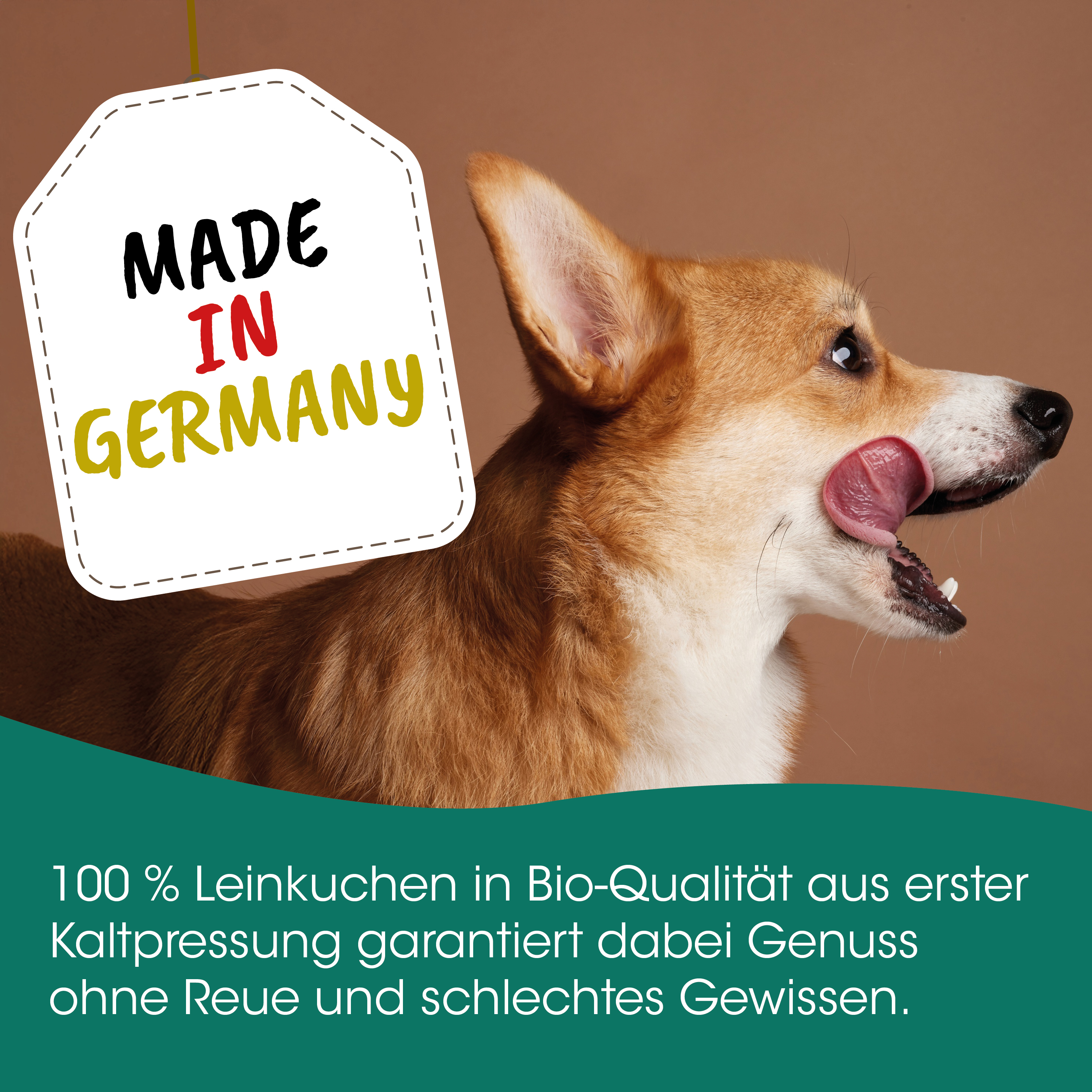 Hund, Corgi, Hundebild, Tierfutter, Bio-Qualität