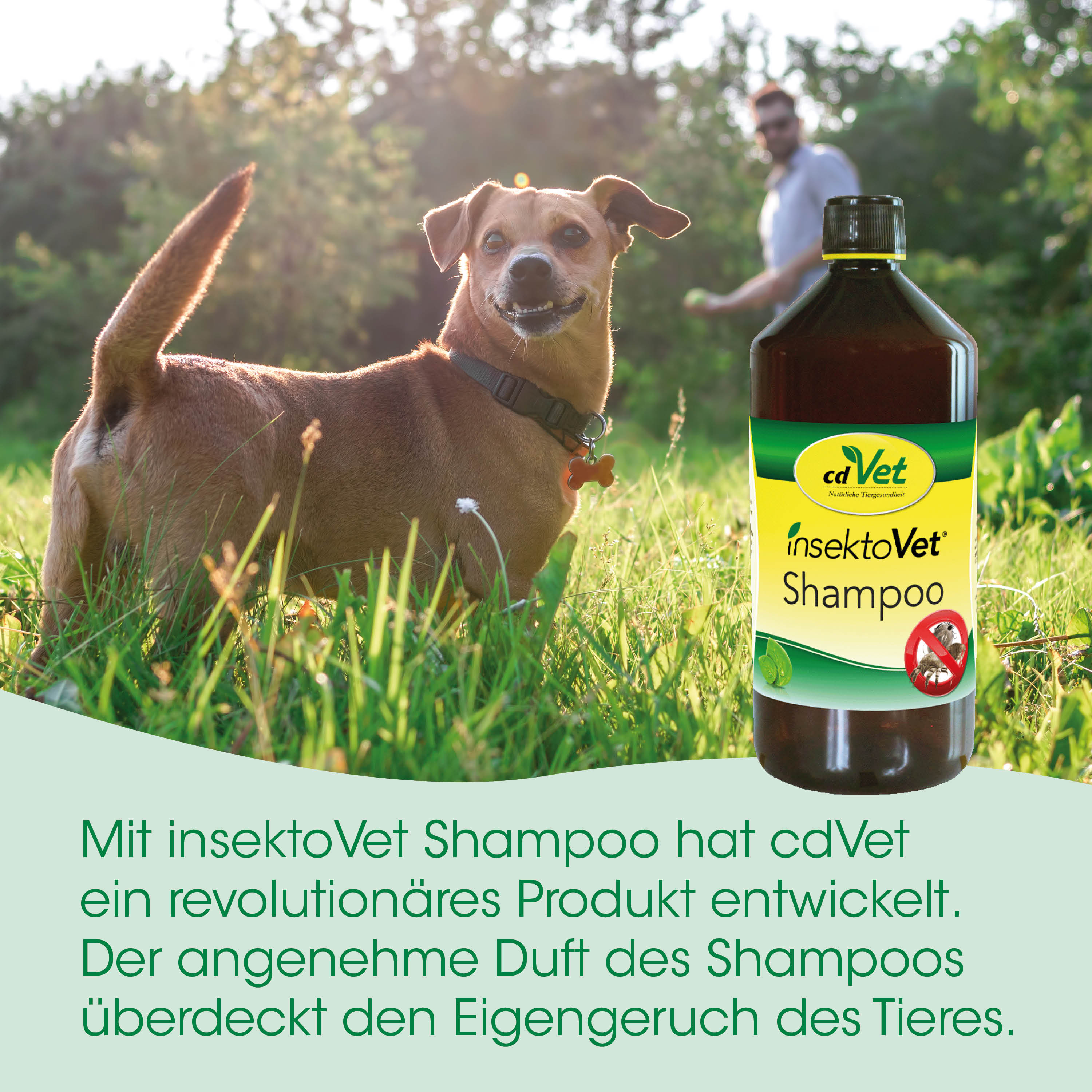 Hund, Shampoo, Insektenschutz, Tierpflege, Flasche