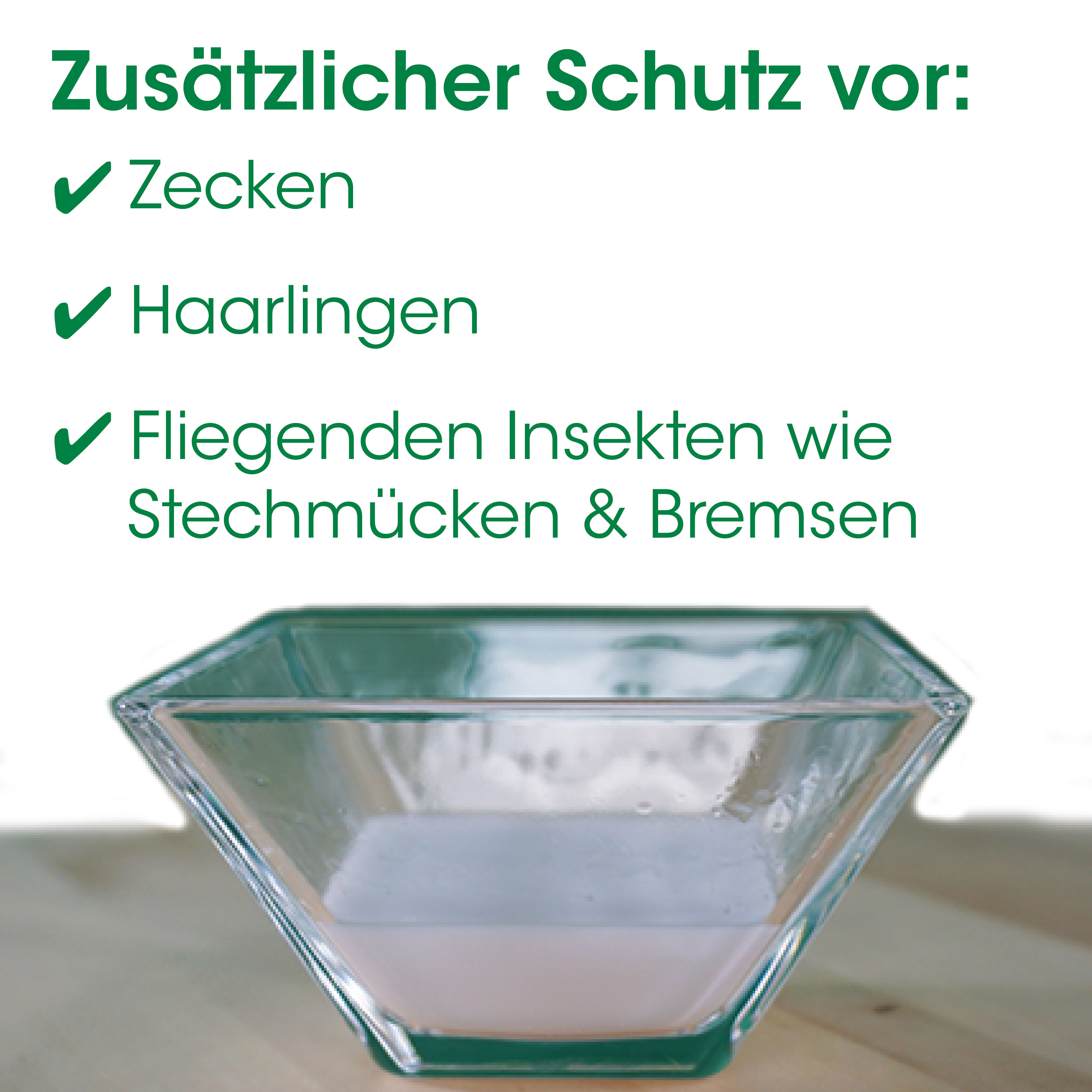 glasSchüssel, quadratSchüssel, transparentesGlas, Küchenzubehör, Dekoschüssel