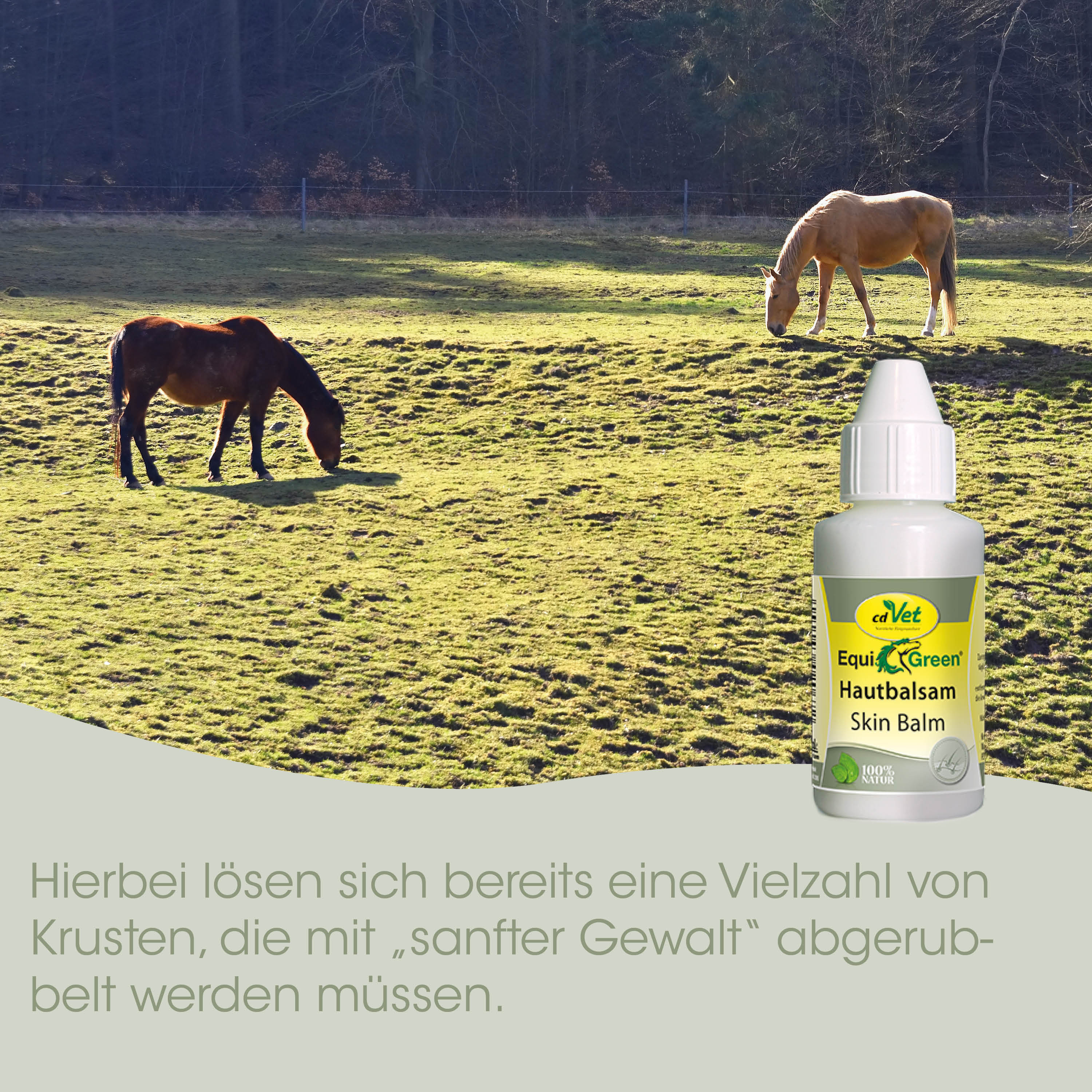 Pferd, Wiese, Hautbalsam, Fläschchen, natürliches Produkt