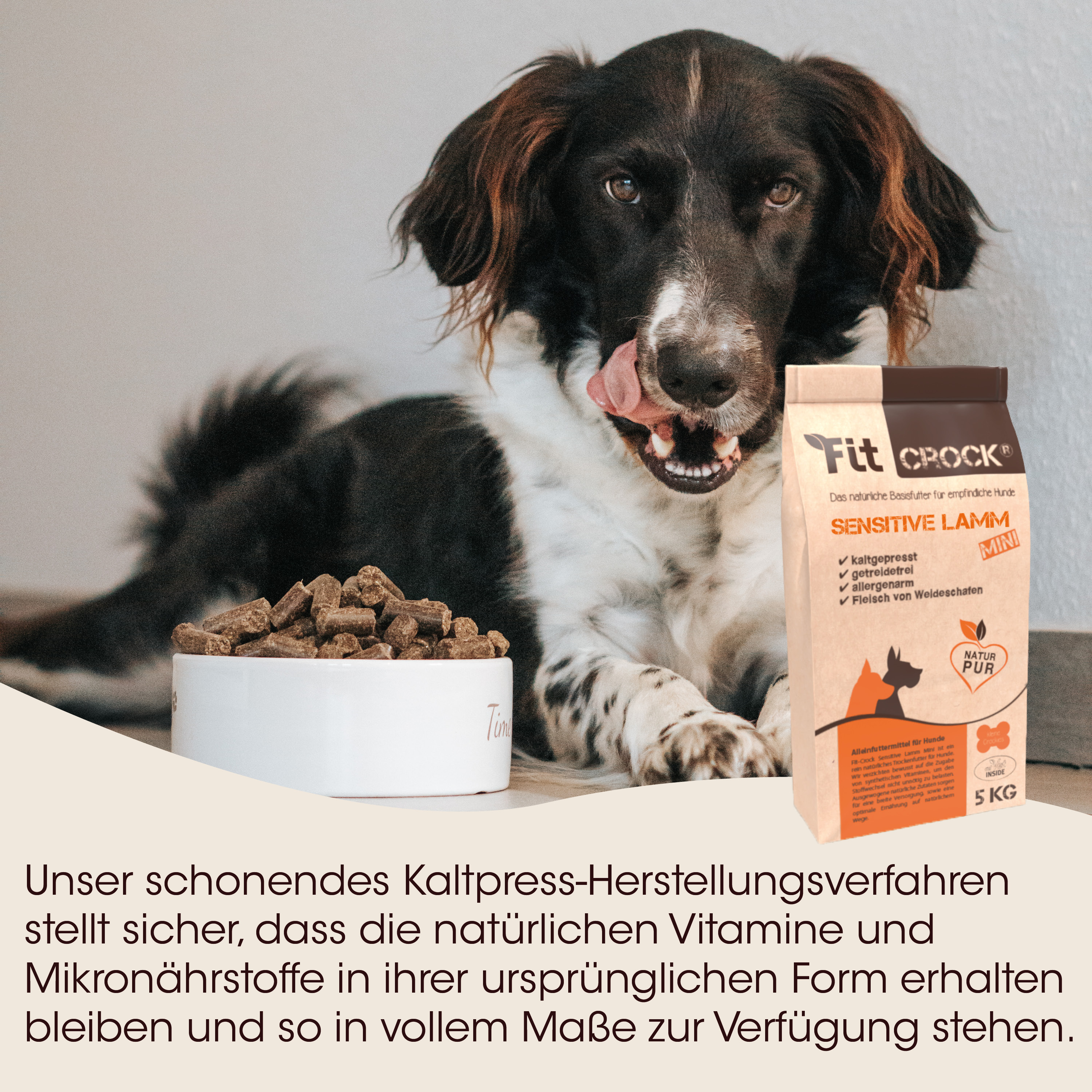 Hund, Kauartikel, Kausnack, Tierfutter, Hunde-Snack