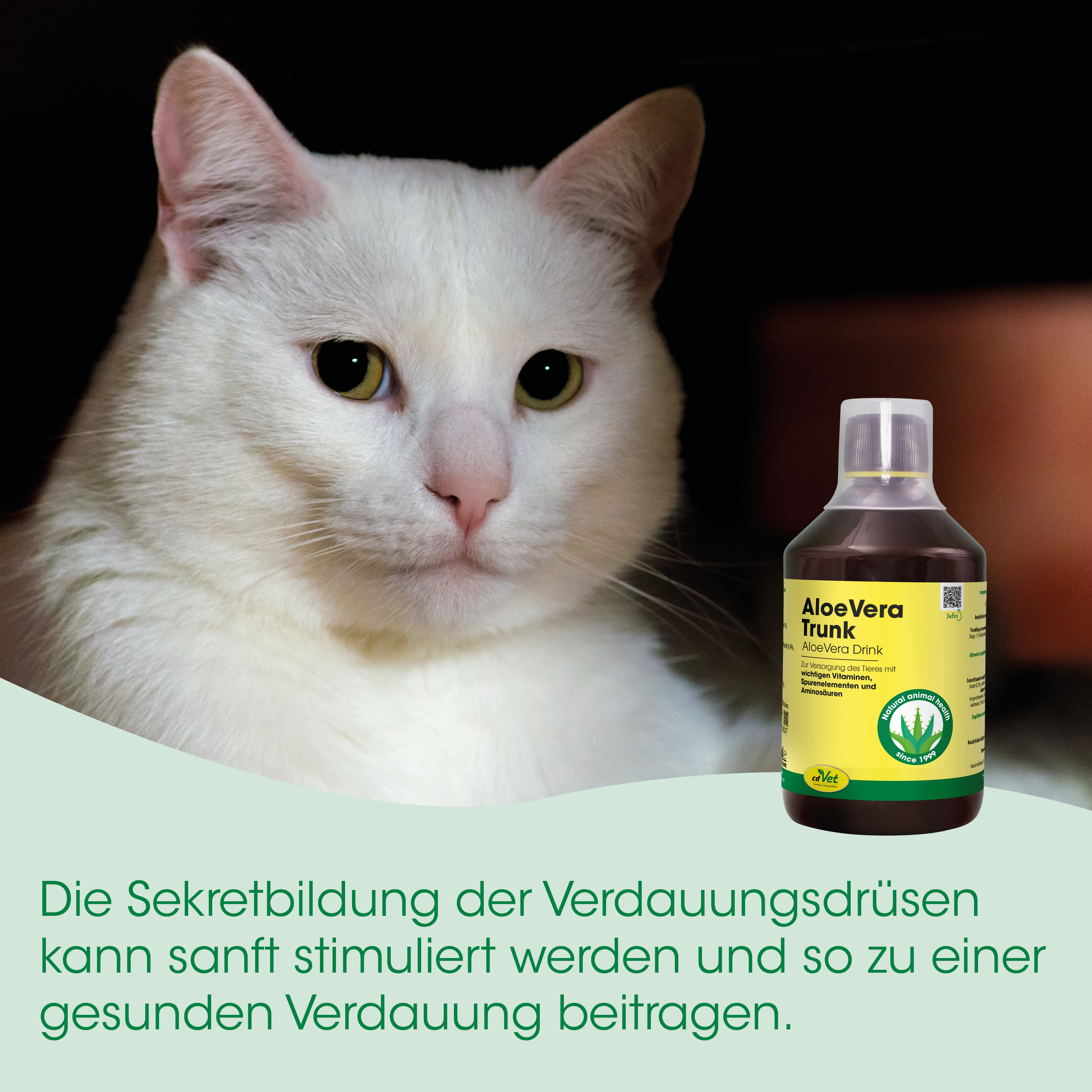 weiße Katze, Katze, Flasche, Aloe Vera, Werbung