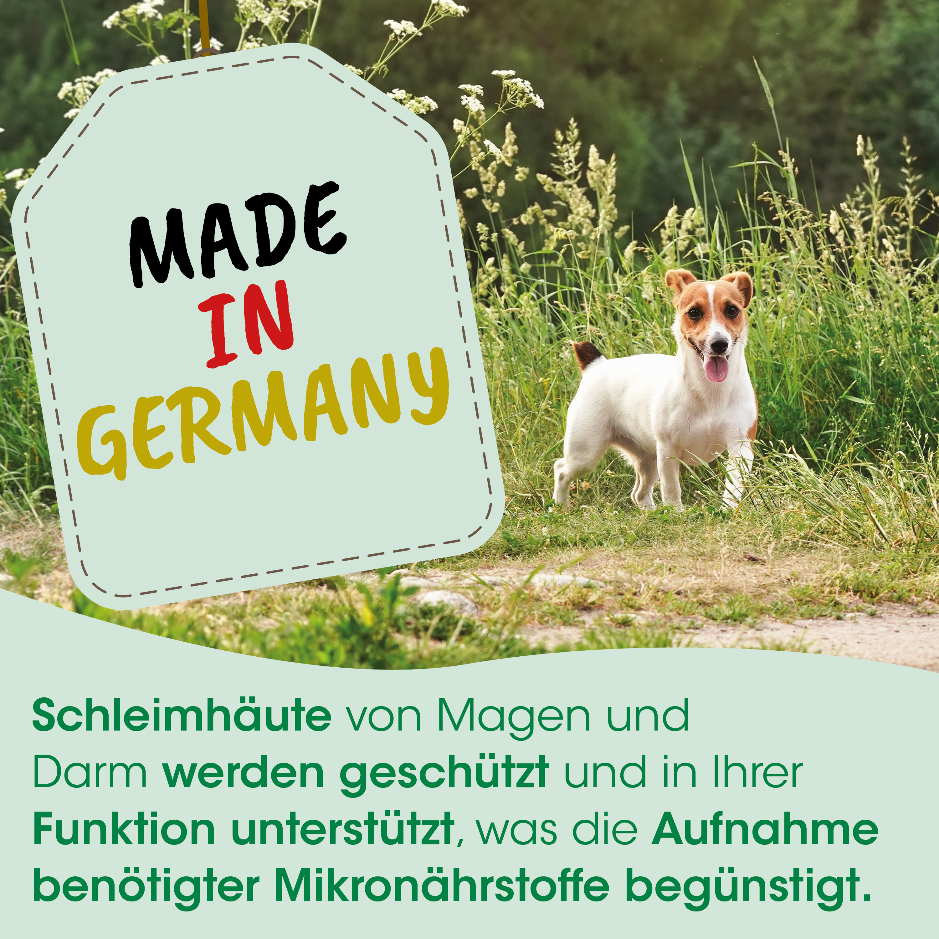 Hund, Deutsch?, Label, Made in Germany, Tag