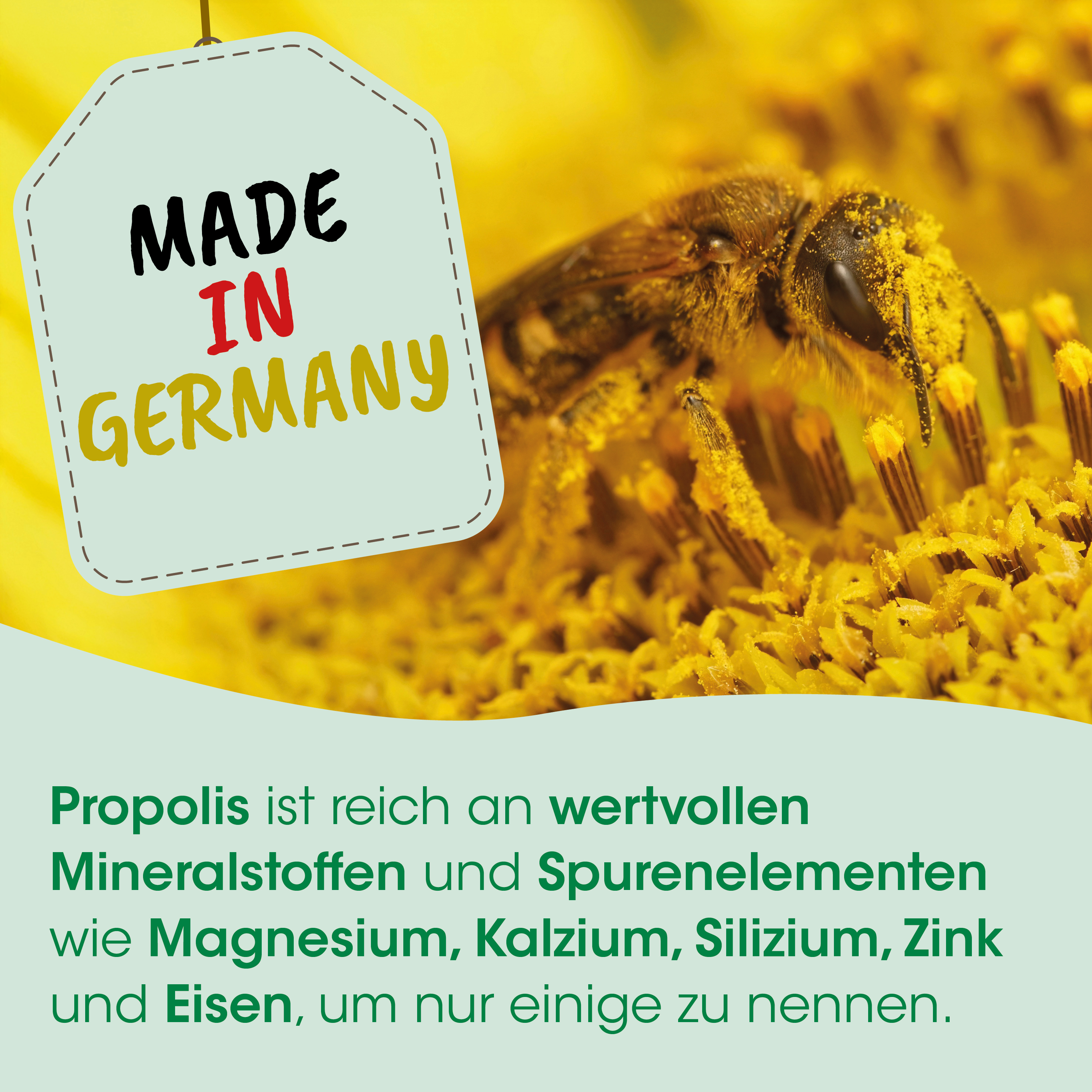bienewabe, honig, imker, produziert?, deutschland?