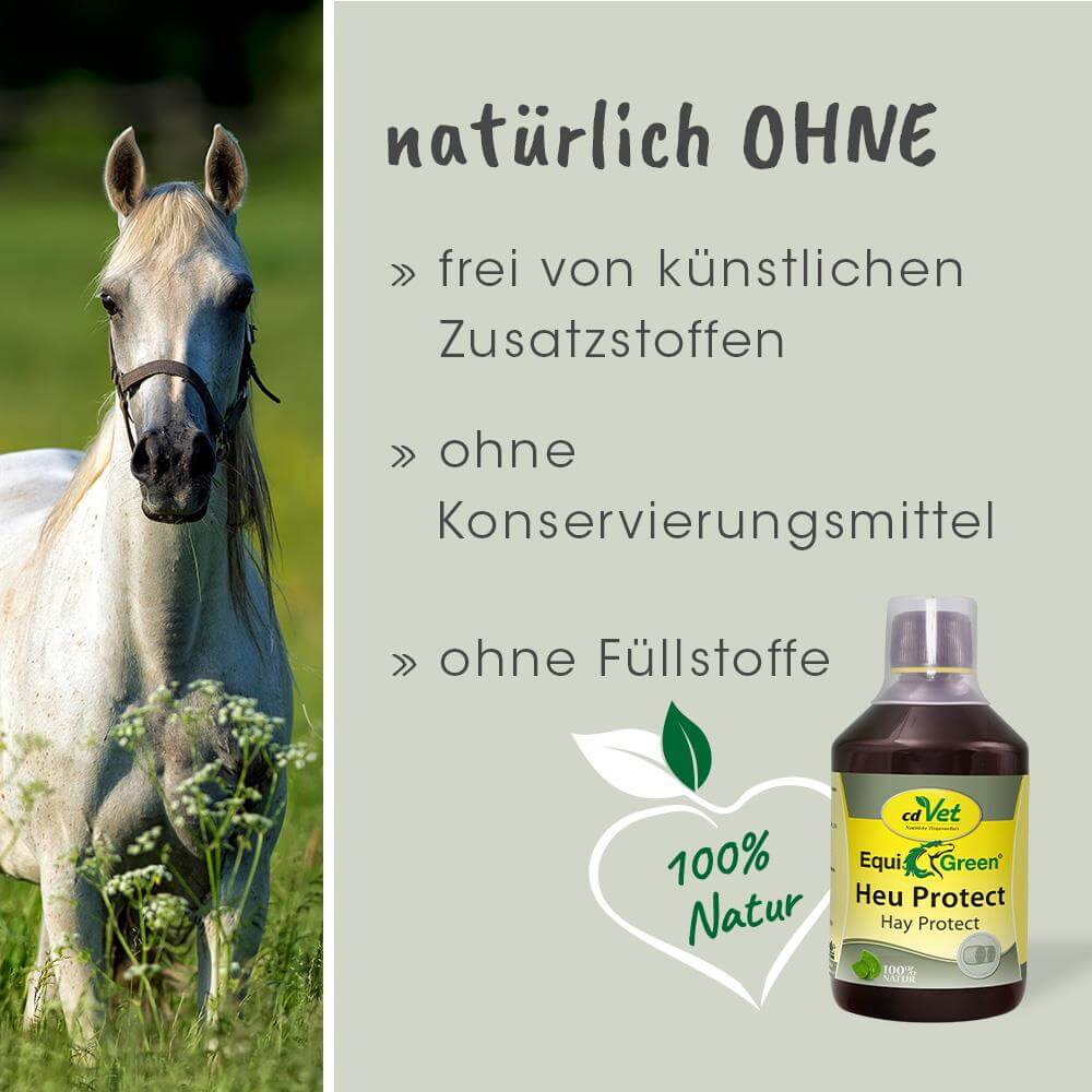 pferd, horse, rotbraun?, haar?, pflanze