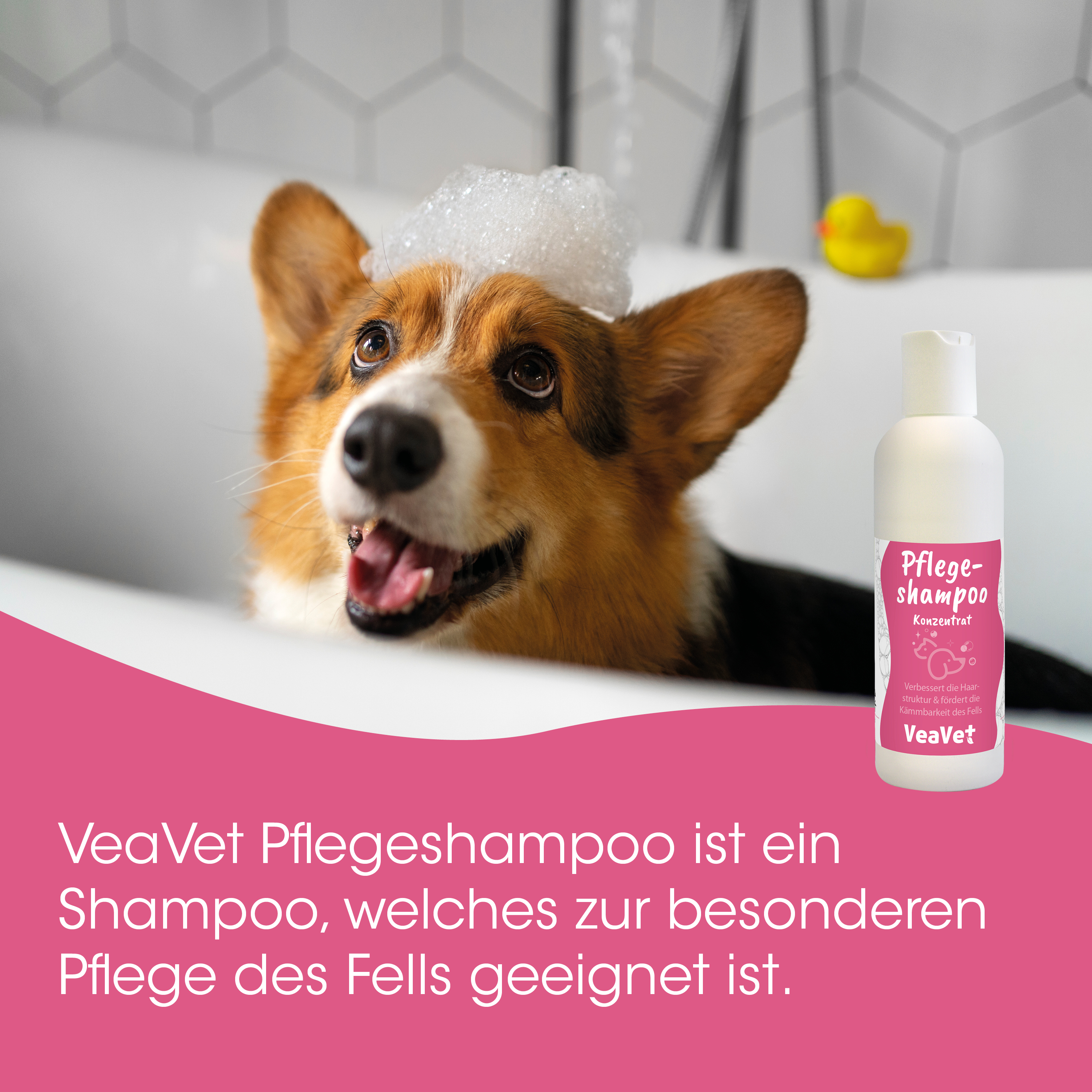 hund, tier, shampoo, flasche, rosa etikett
