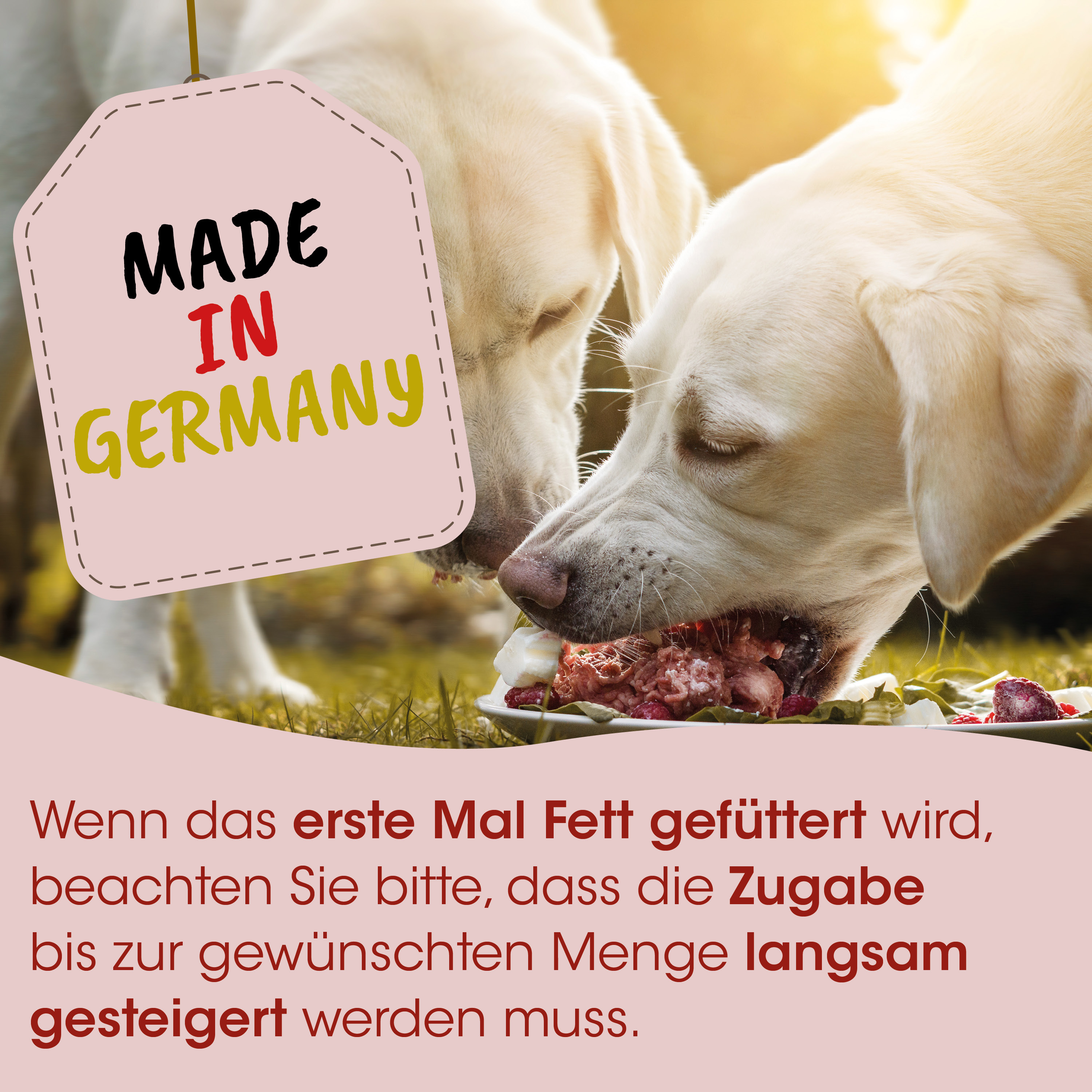Hund, Hunde-Futter, Fleischfutter, Nassfutter, Made in Germany