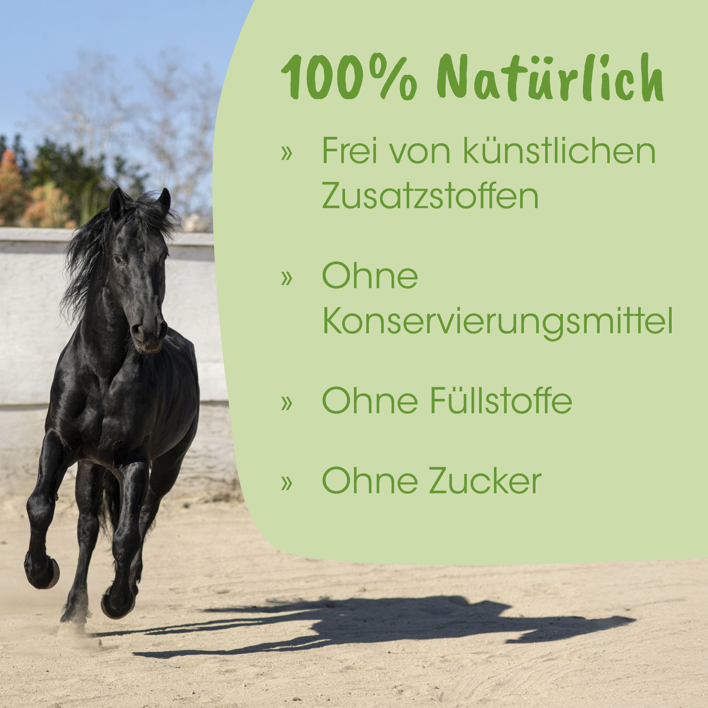pferd, schwarz, galopp, sandboden, hengst