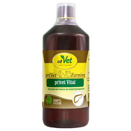 privet Vital 1 L