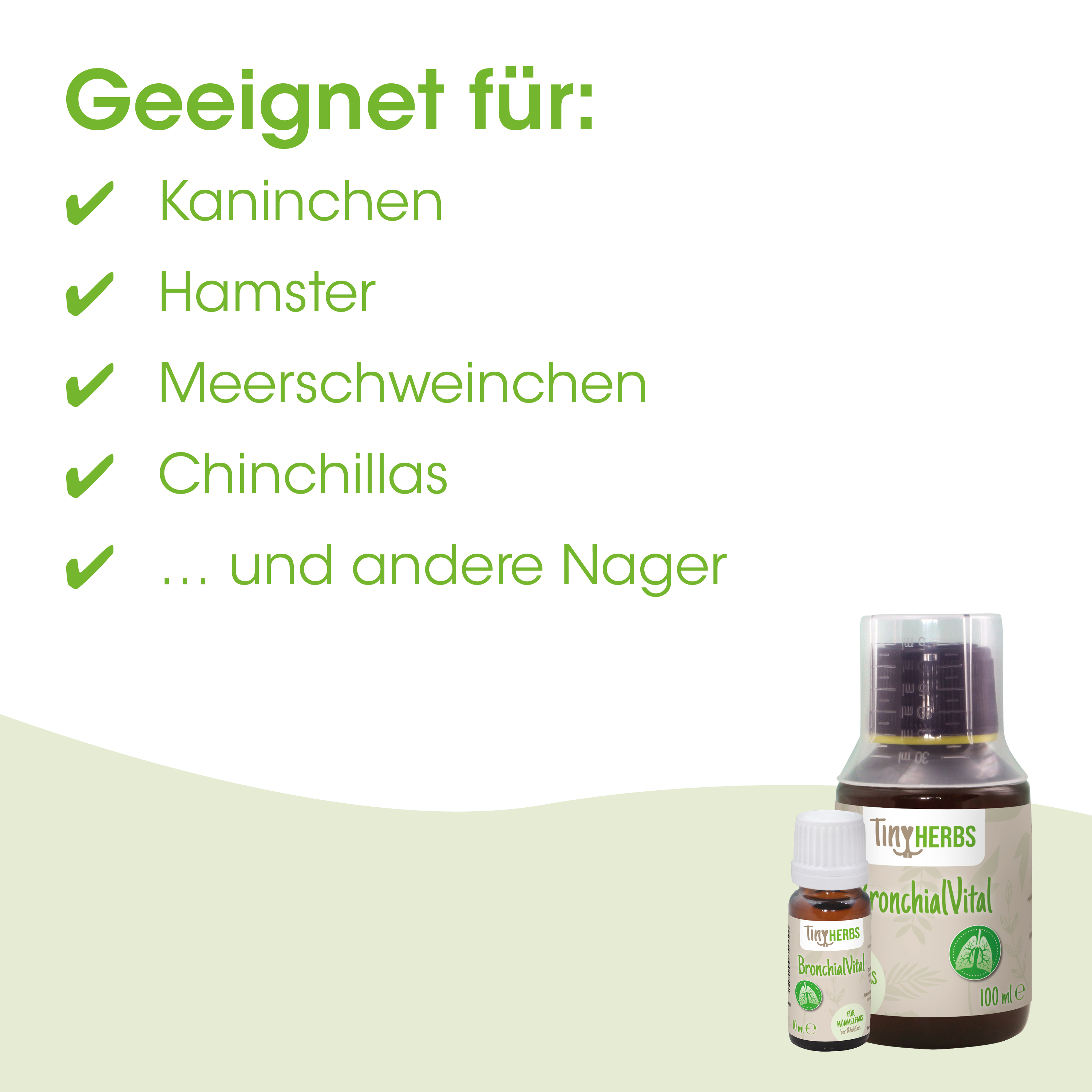 Bronchialsaft, Hustenmittel? not visible, Erkältungsöl? no, BronchialVital, Nahrungsergänzung?